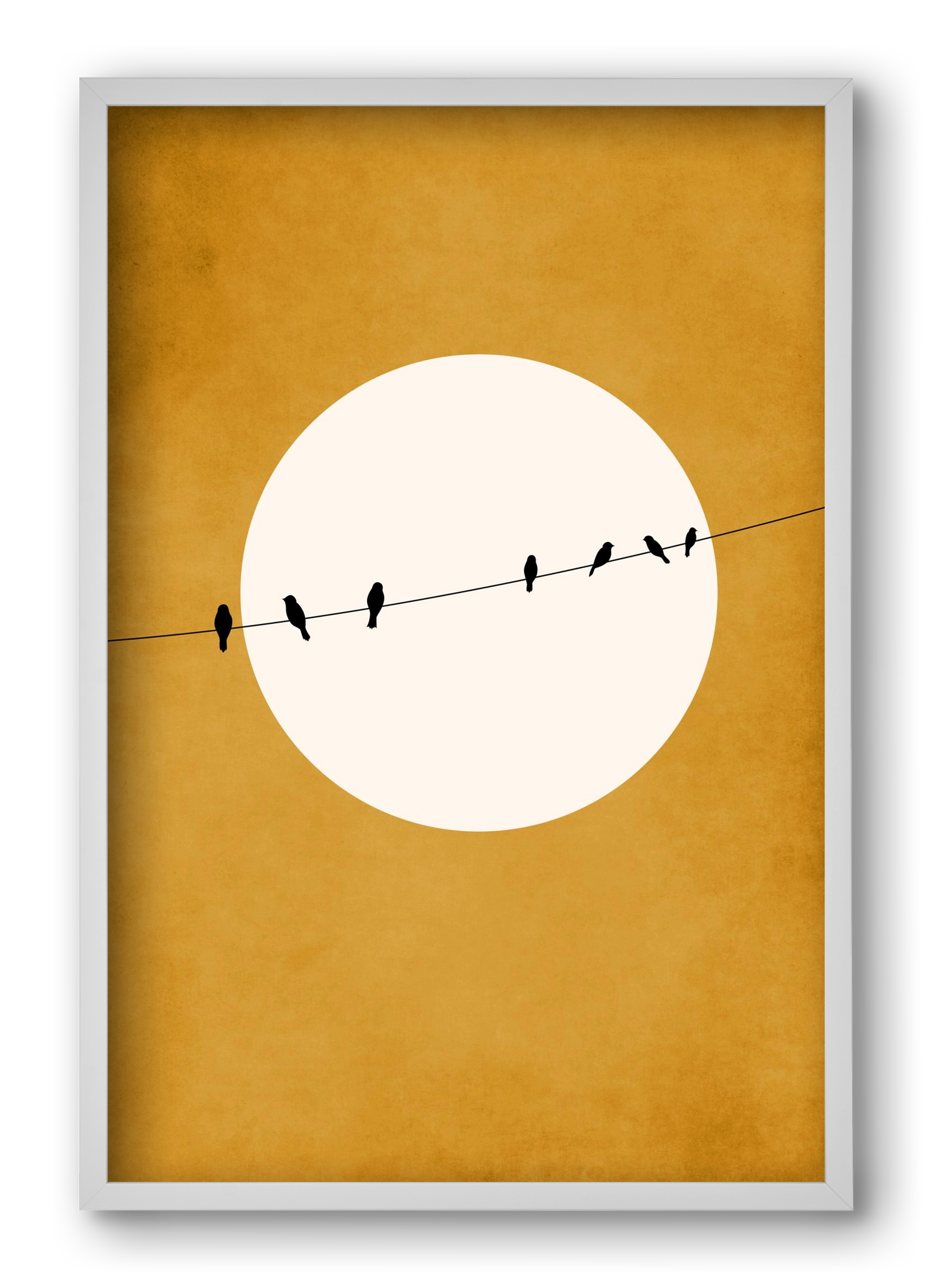 Chirping and Chilling at Night, 40x60 cm (40x60 cm), Fehér keret