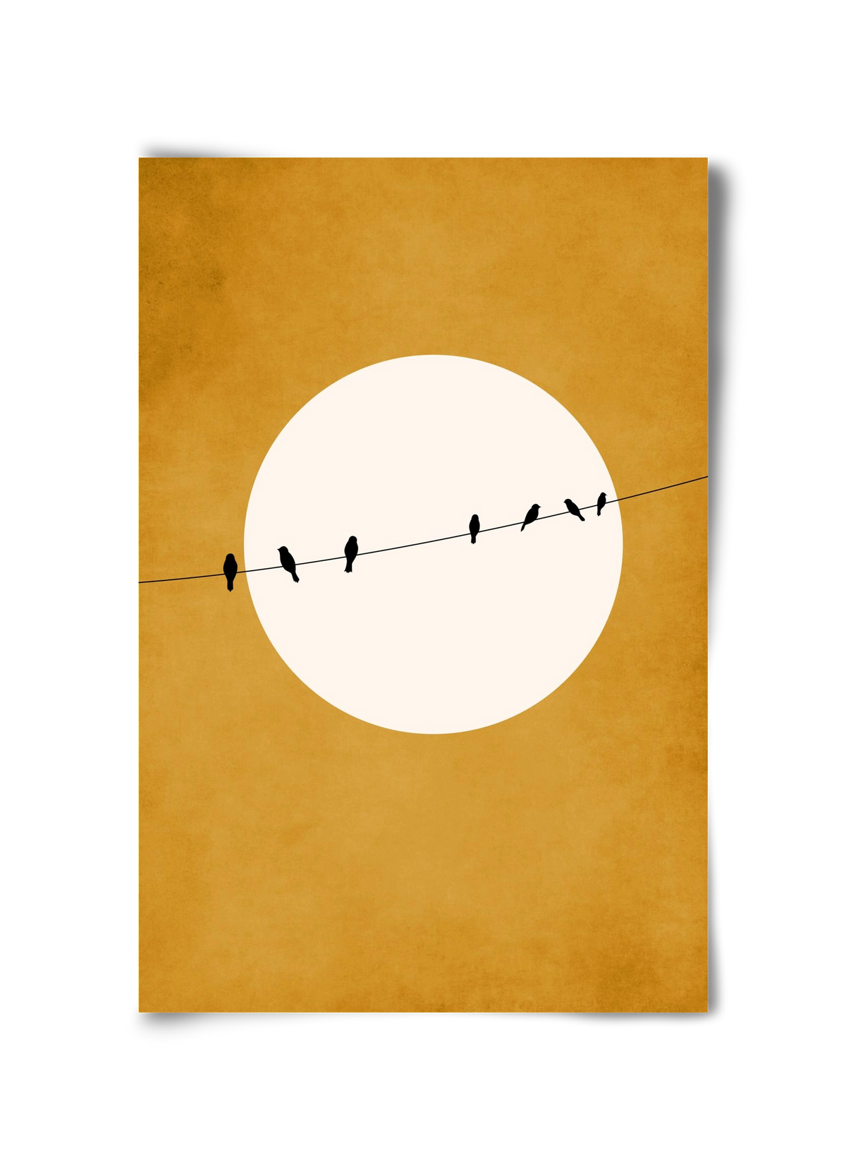 Chirping and Chilling at Night, 30x45 cm, Keret nélkül