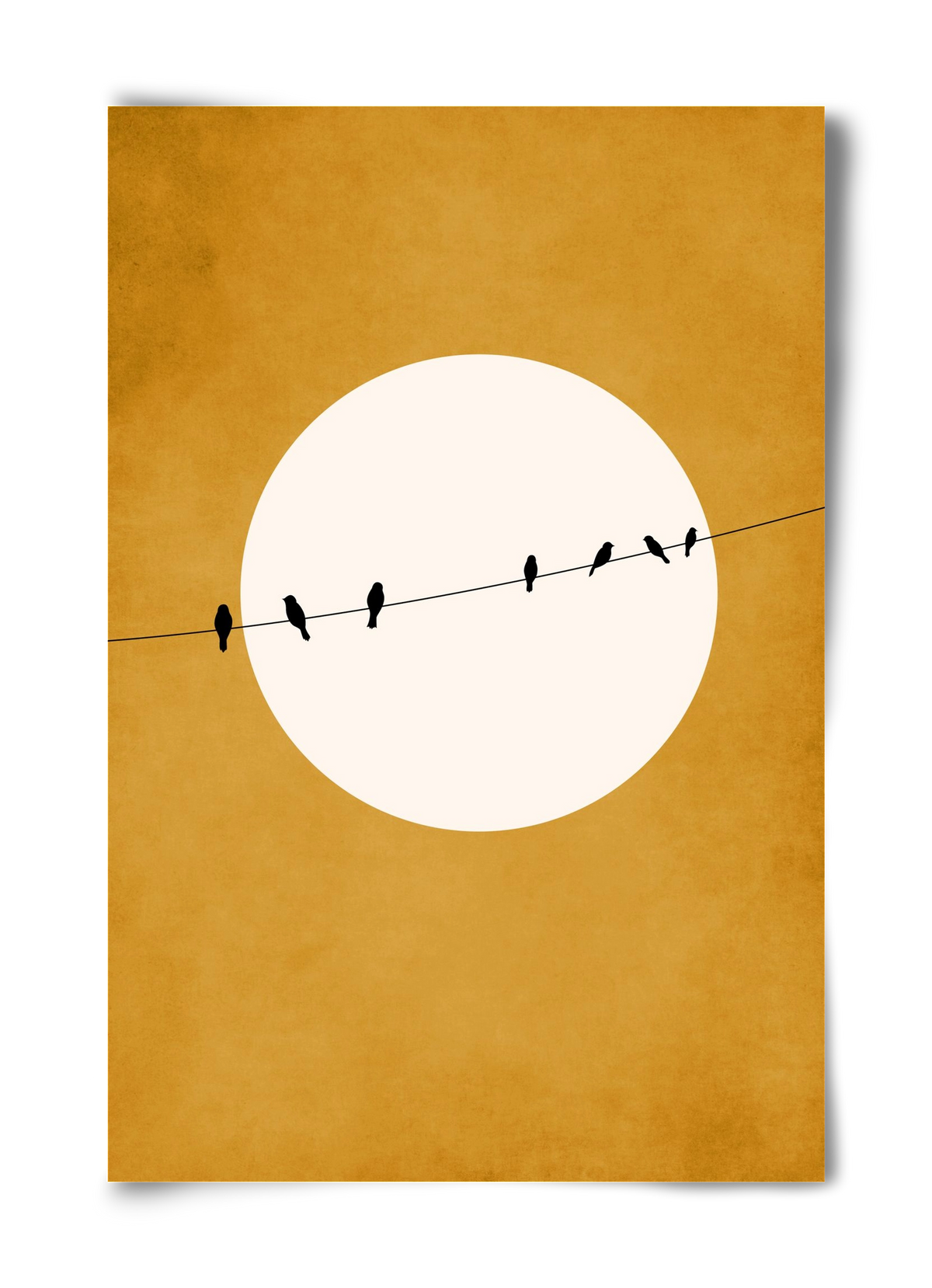 Chirping and Chilling at Night, 40x60 cm, Keret nélkül