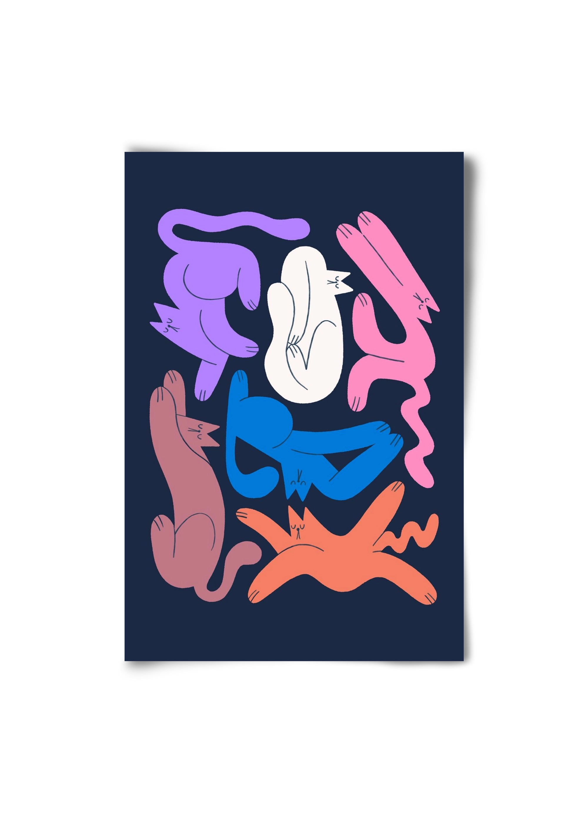 Funky Cats, 20x30 cm, Keret nélkül