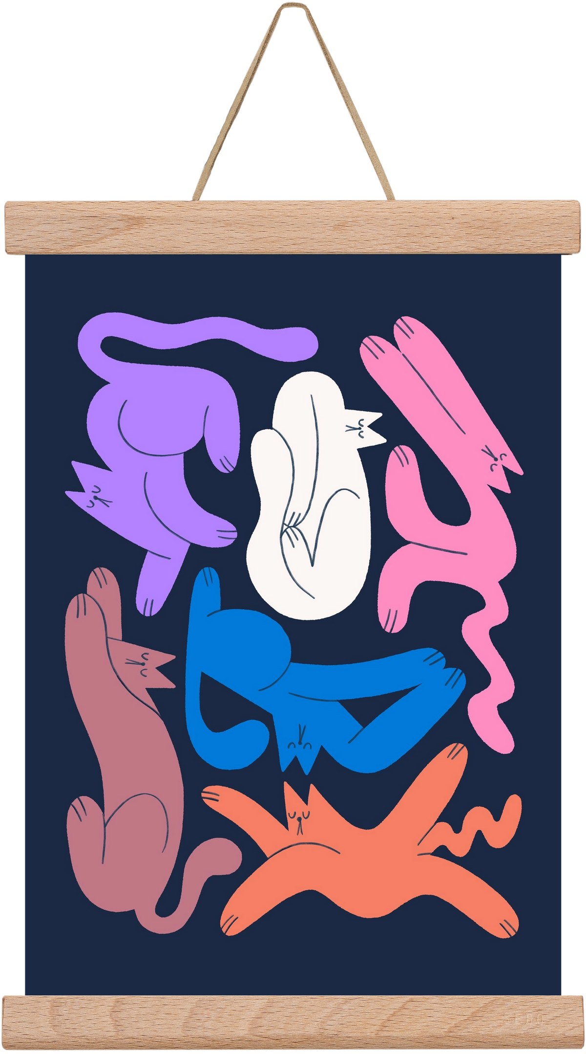 Funky Cats, 20x30 cm (20x30 cm), Tölgy akasztó