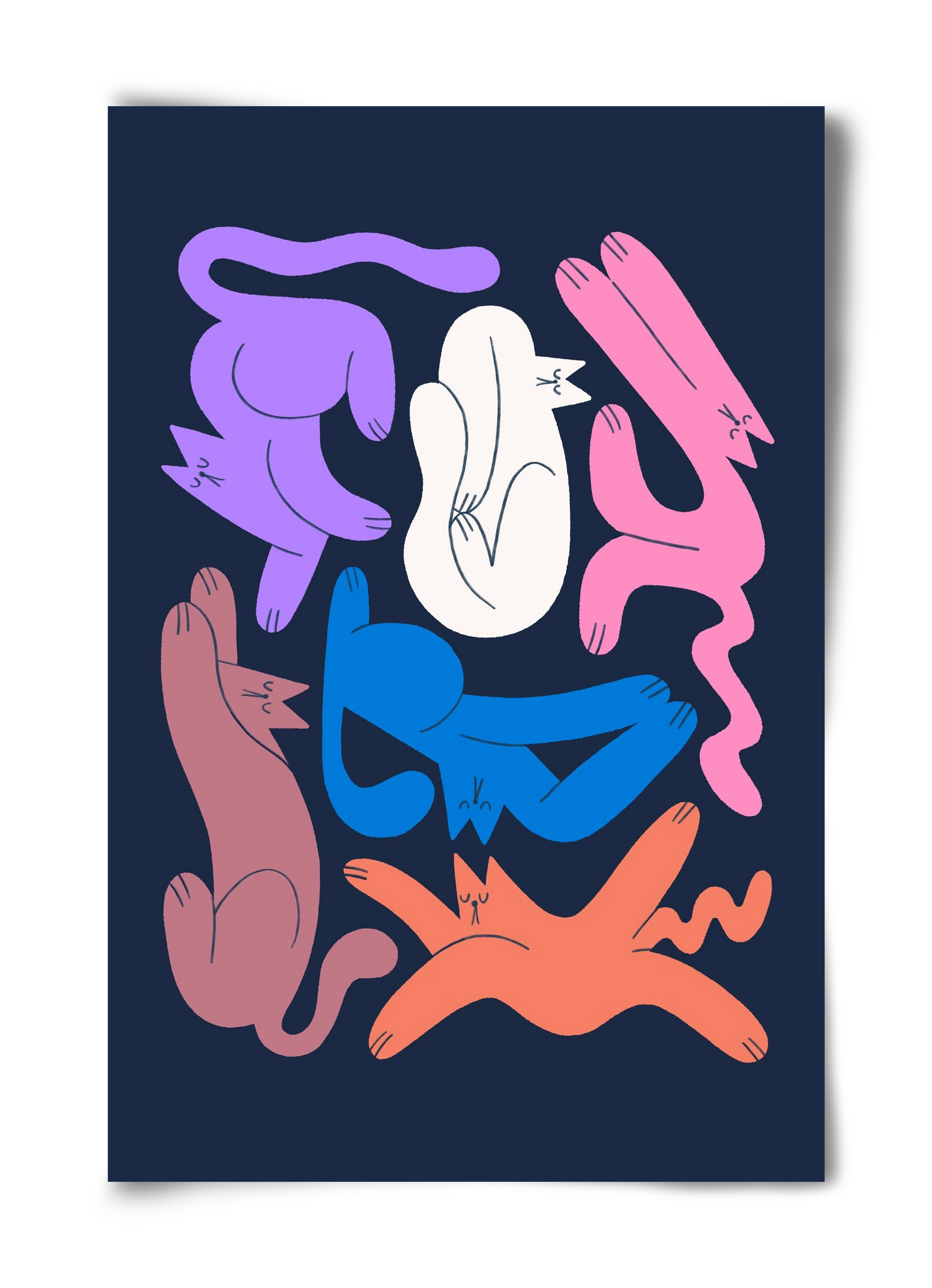 Funky Cats, 40x60 cm, Keret nélkül