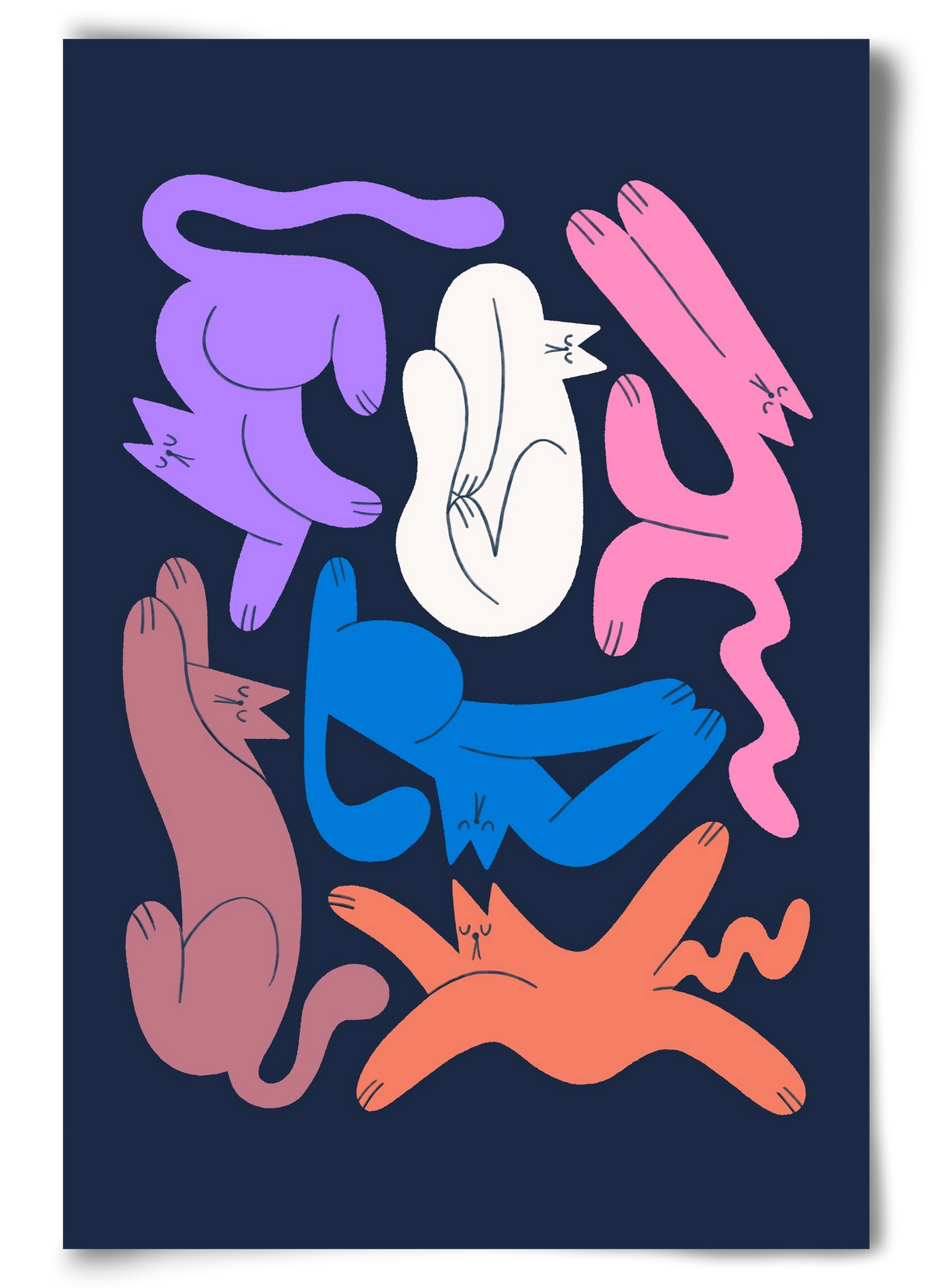 Funky Cats, 60x90 cm, Keret nélkül