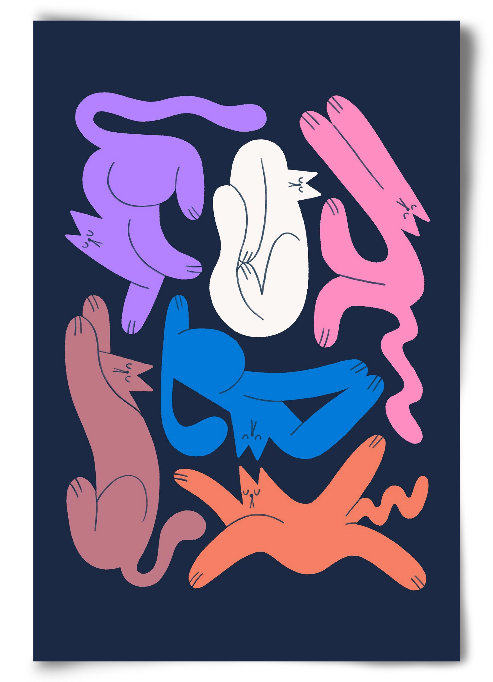 Funky Cats, 60x90 cm, Keret nélkül