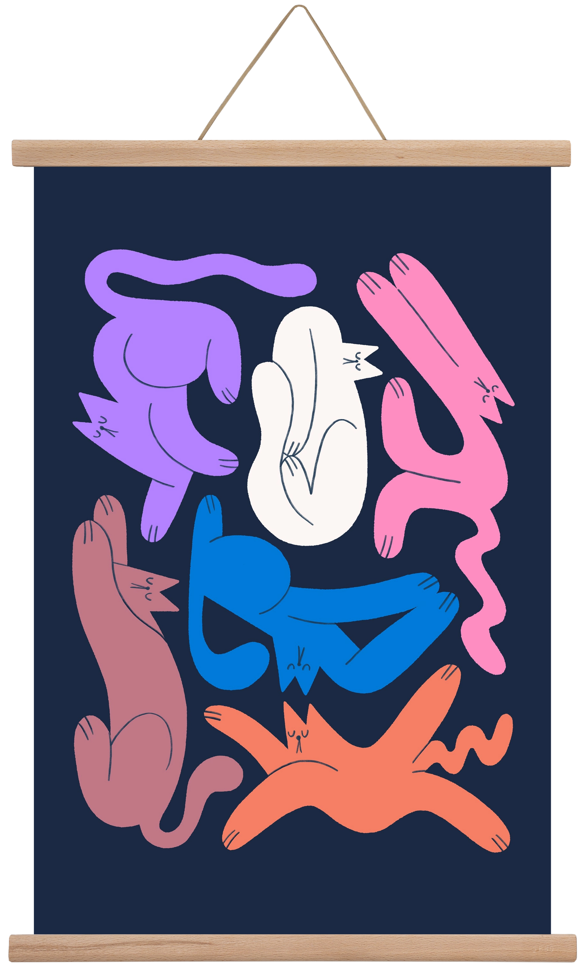 Funky Cats, 40x60 cm (40x60 cm), Tölgy akasztó