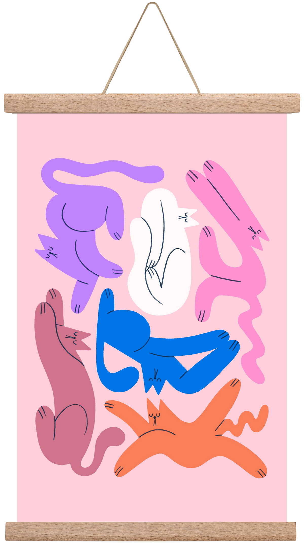 Funky Cats - Pink, 30x45 cm (30x45 cm), Tölgy akasztó