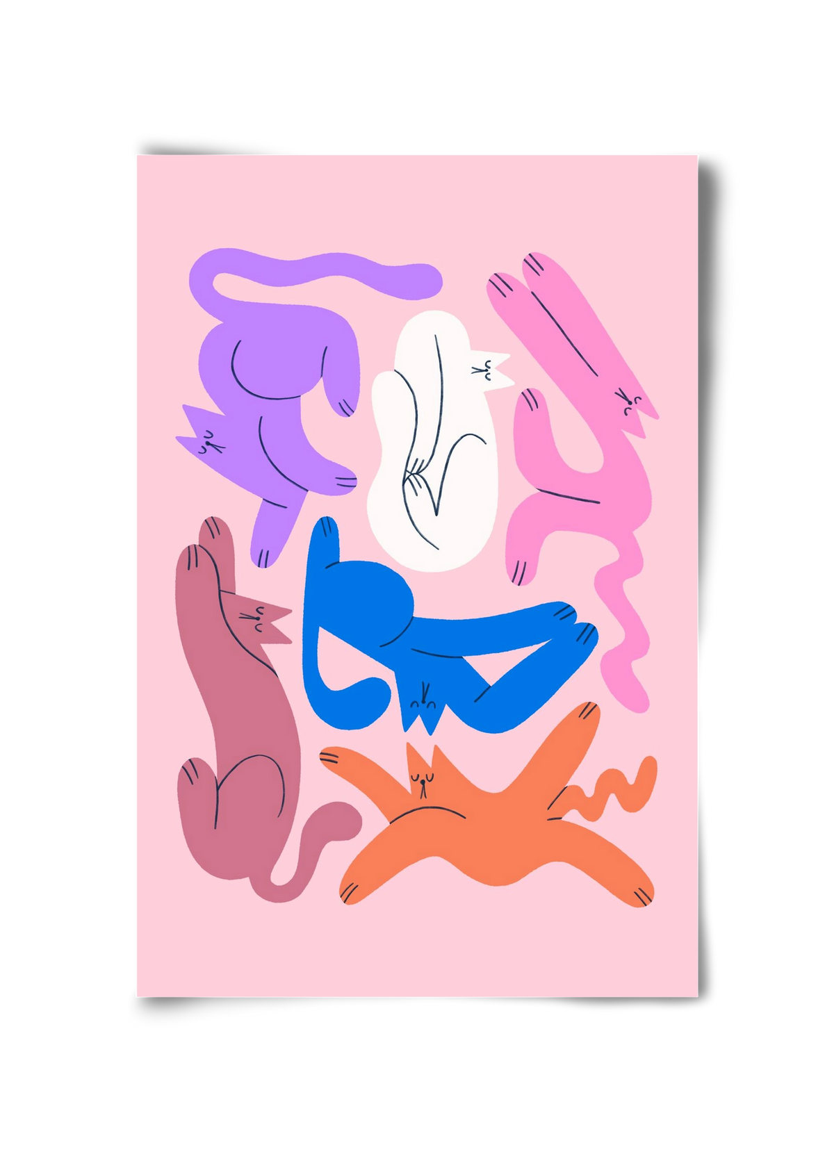 Funky Cats - Pink, 30x45 cm, Keret nélkül