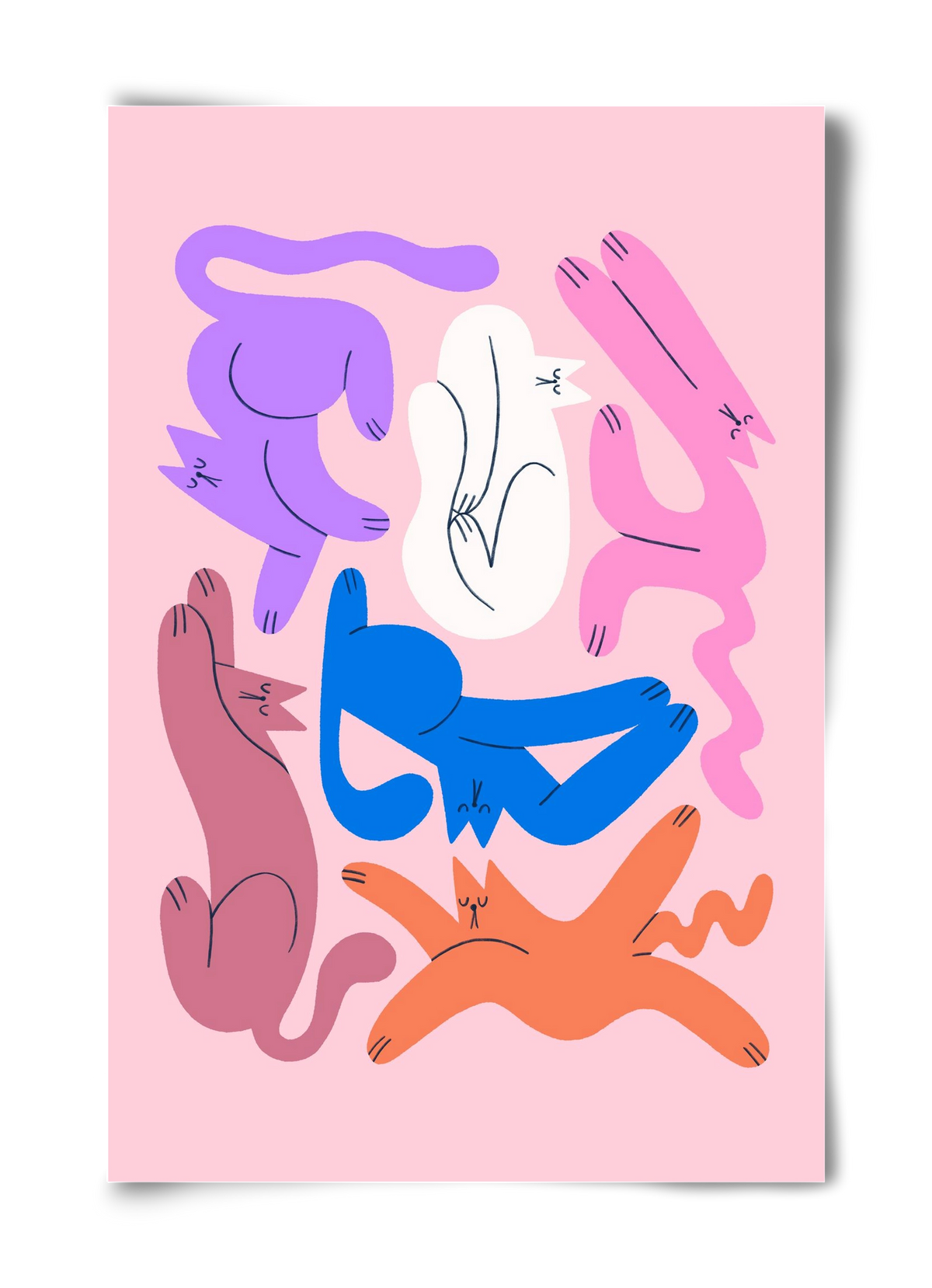 Funky Cats - Pink, 40x60 cm, Keret nélkül