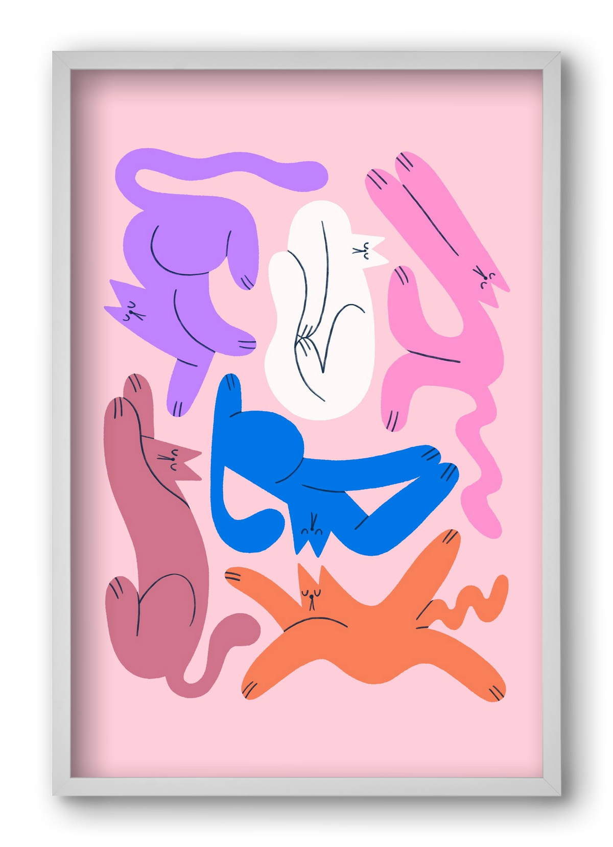 Funky Cats - Pink, 40x60 cm (40x60 cm), Fehér keret