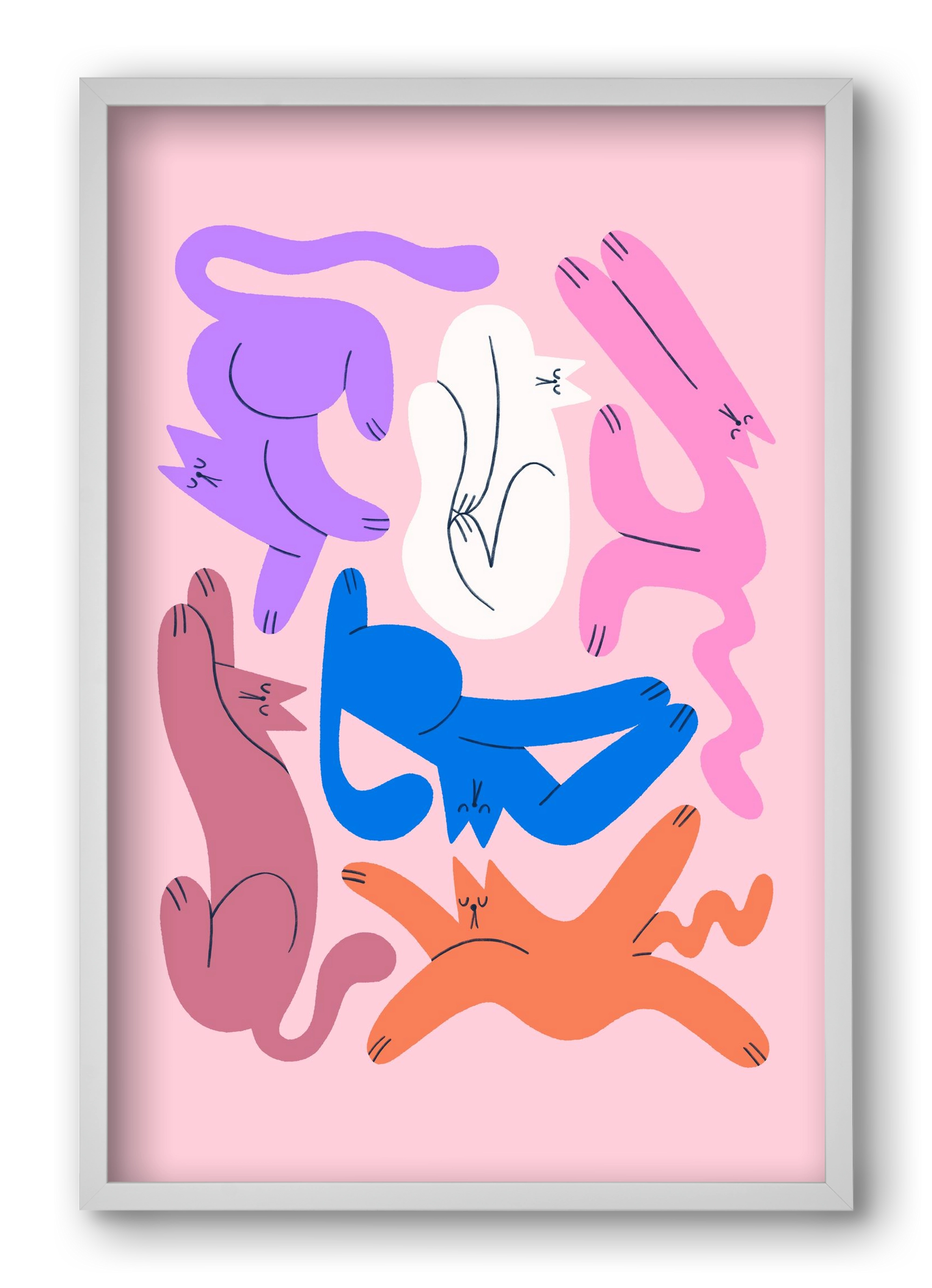 Funky Cats - Pink, 40x60 cm (40x60 cm), Fehér keret