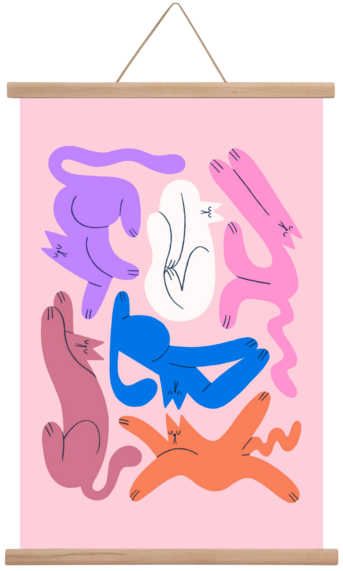 Funky Cats - Pink, 40x60 cm (40x60 cm), Tölgy akasztó