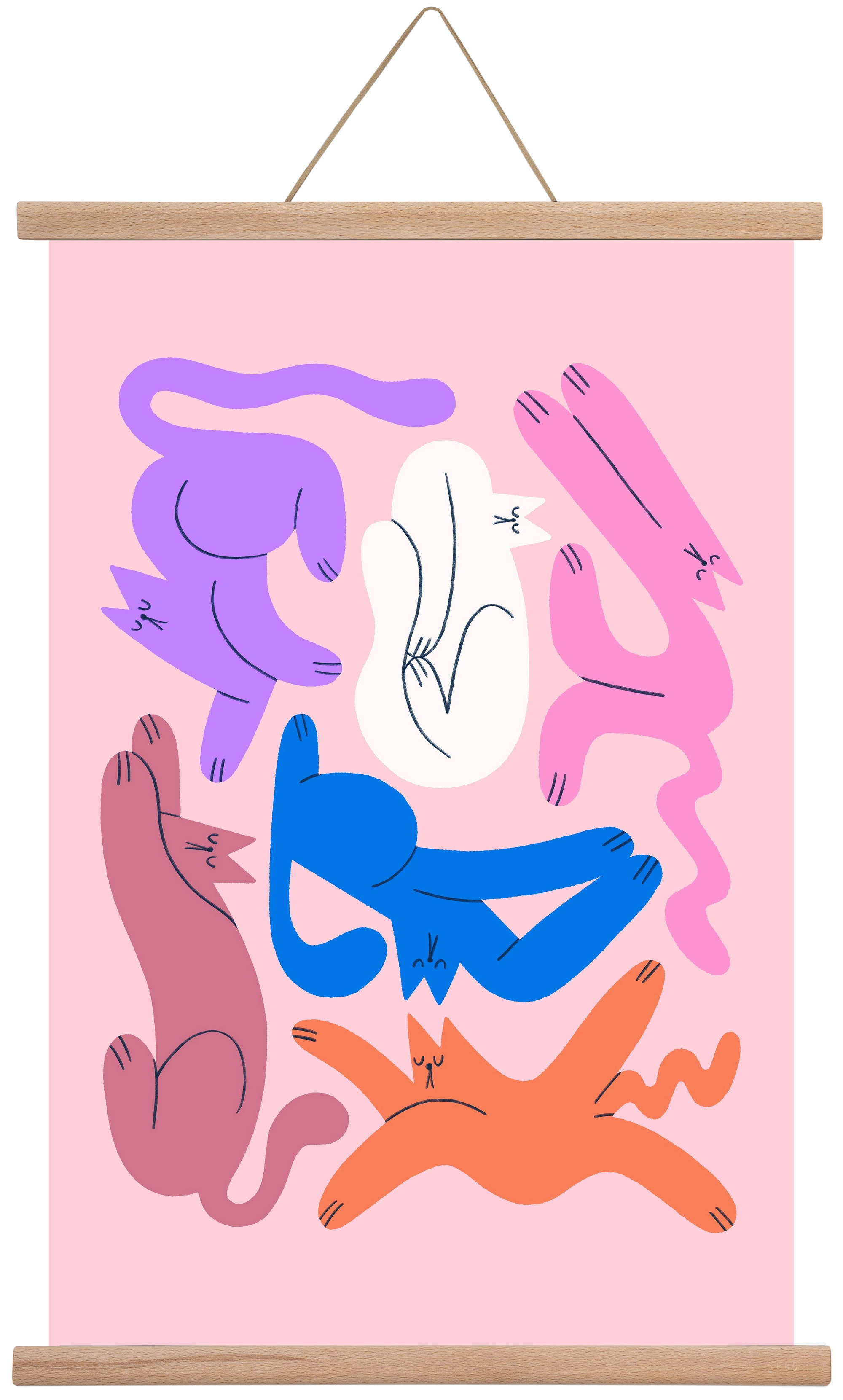 Funky Cats - Pink, 40x60 cm (40x60 cm), Tölgy akasztó