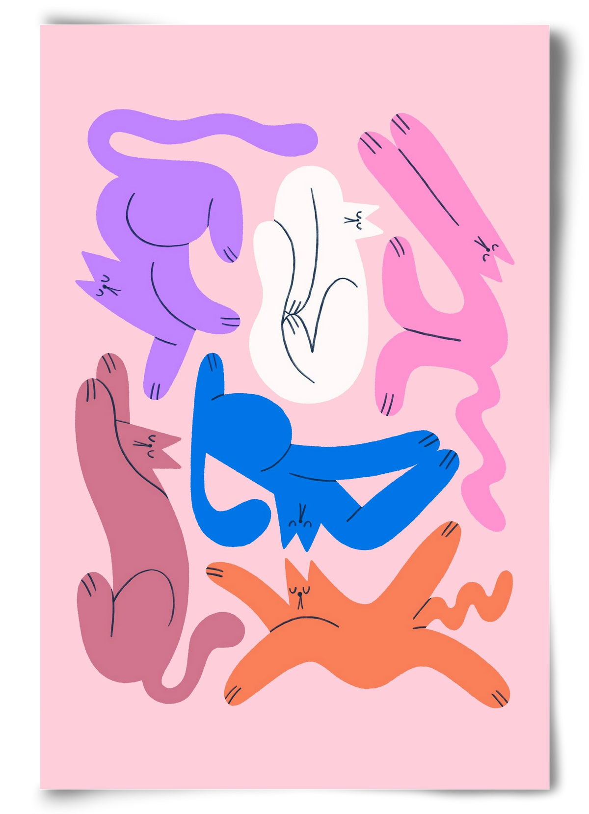 Funky Cats - Pink, 60x90 cm, Keret nélkül