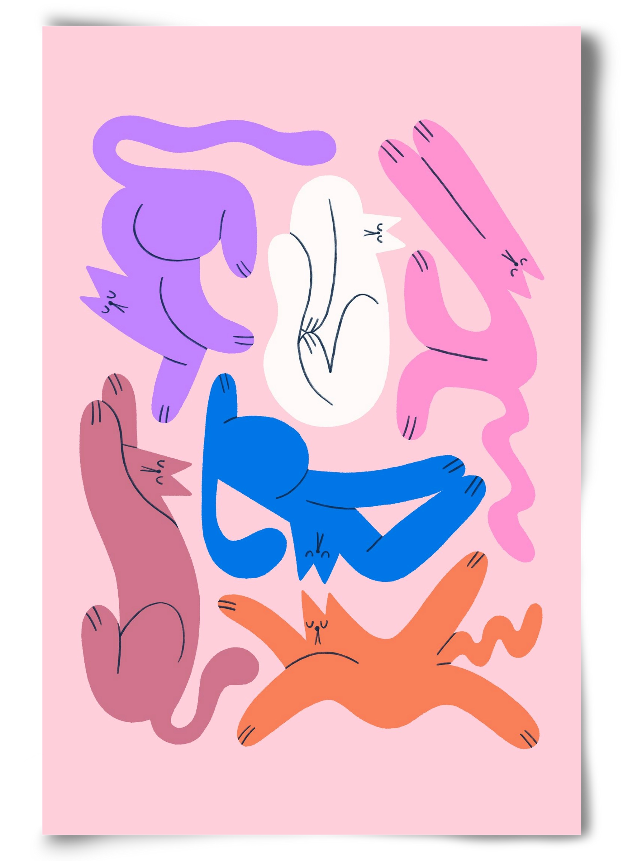 Funky Cats - Pink, 60x90 cm, Keret nélkül