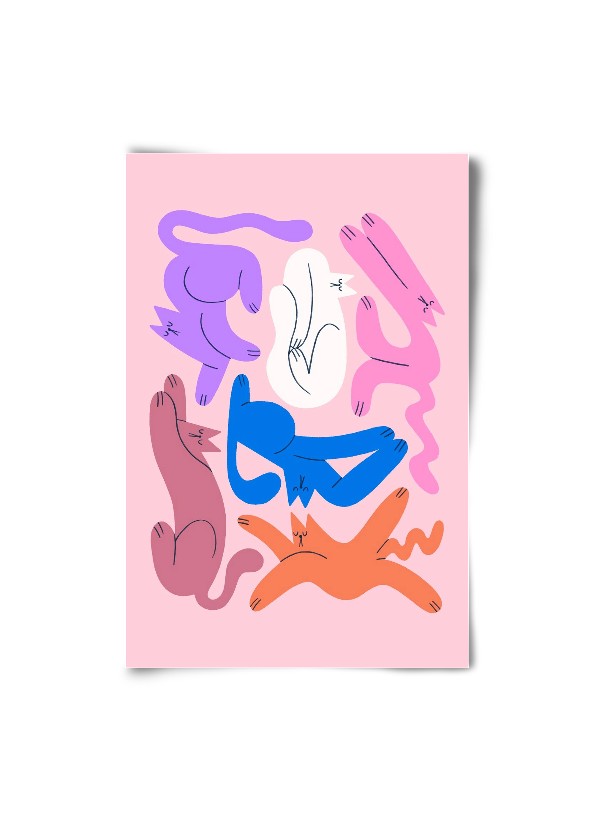 Funky Cats - Pink, 20x30 cm, Keret nélkül