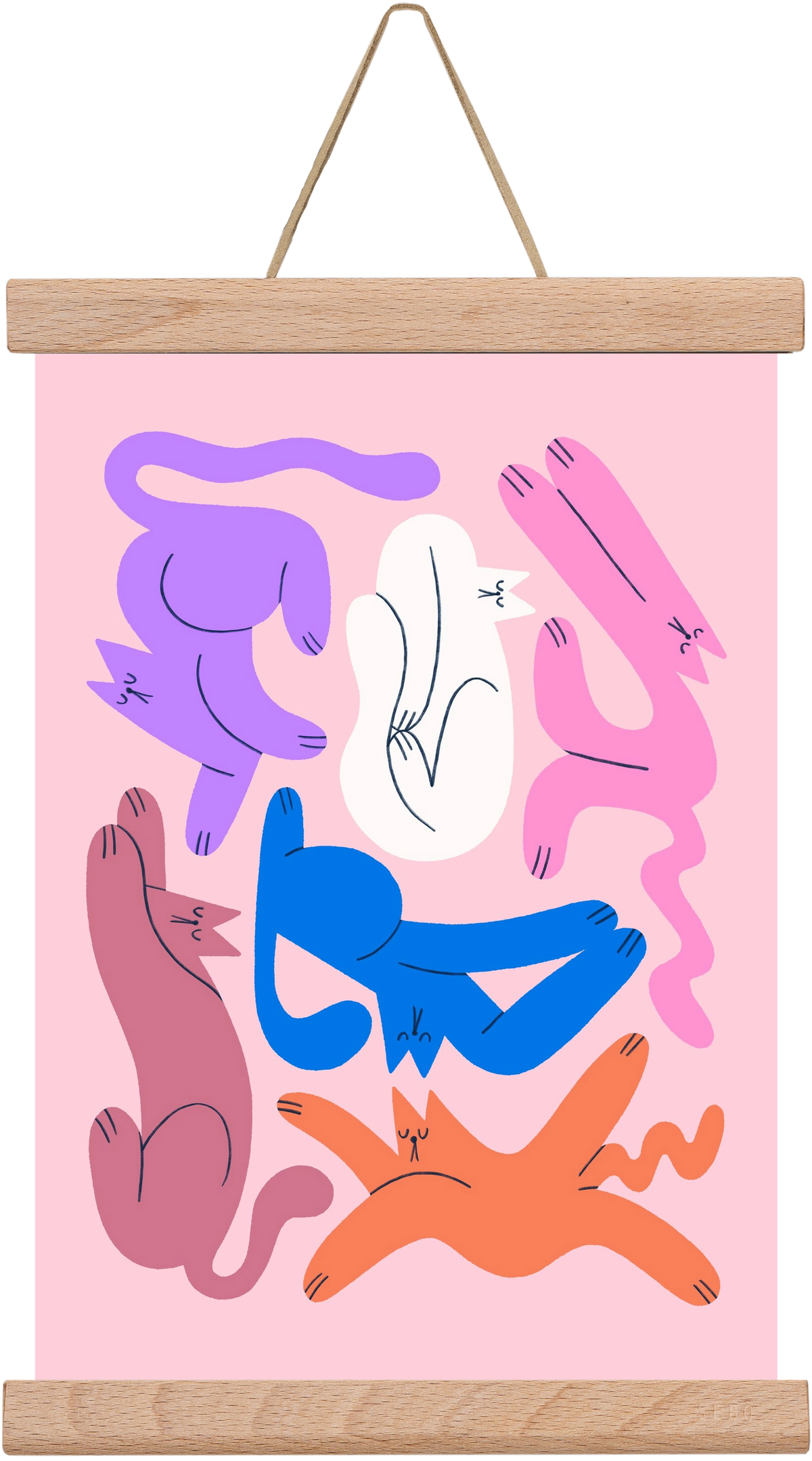 Funky Cats - Pink, 20x30 cm (20x30 cm), Tölgy akasztó