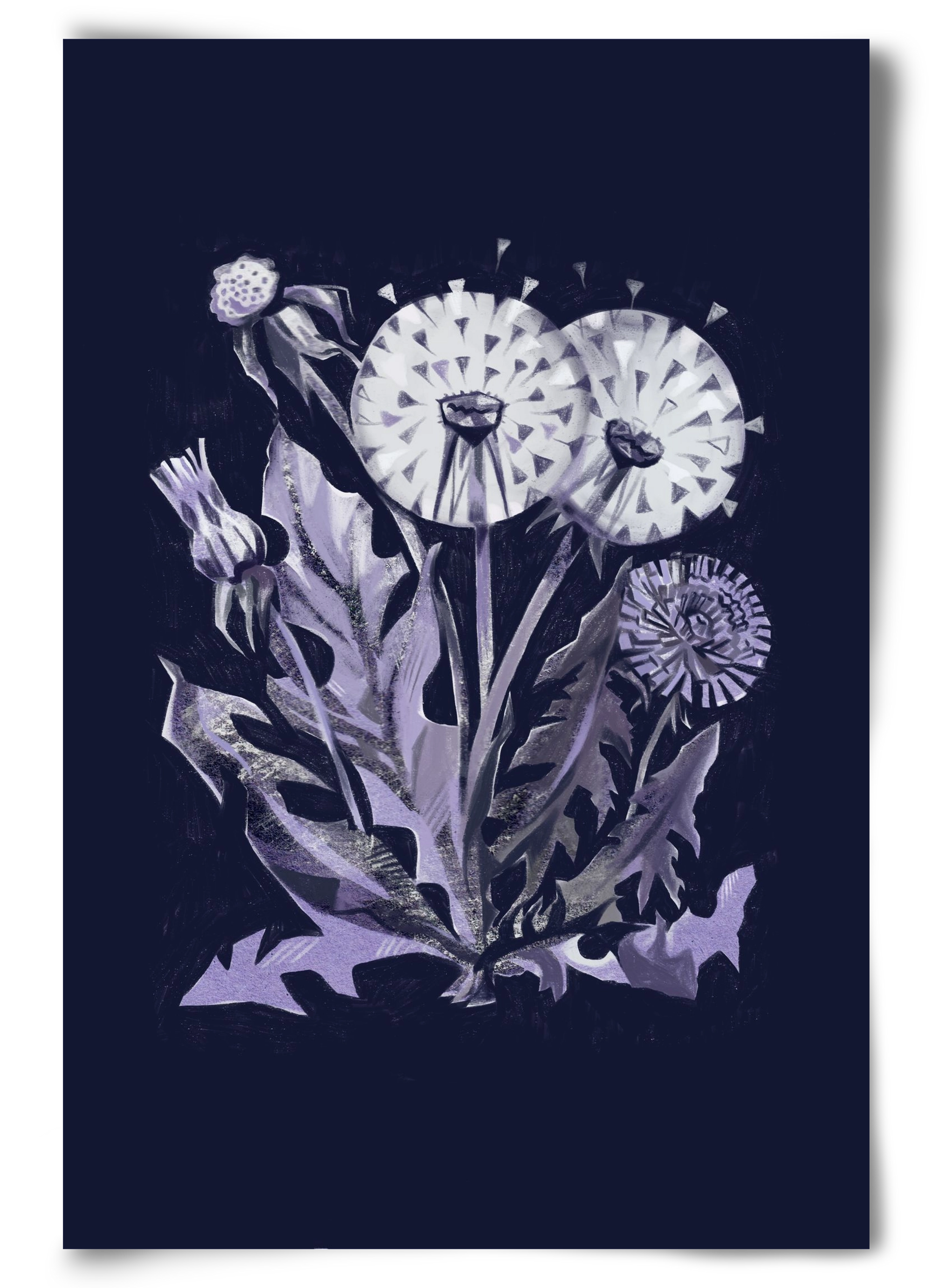 Pitypang, 60x90 cm, Keret nélkül