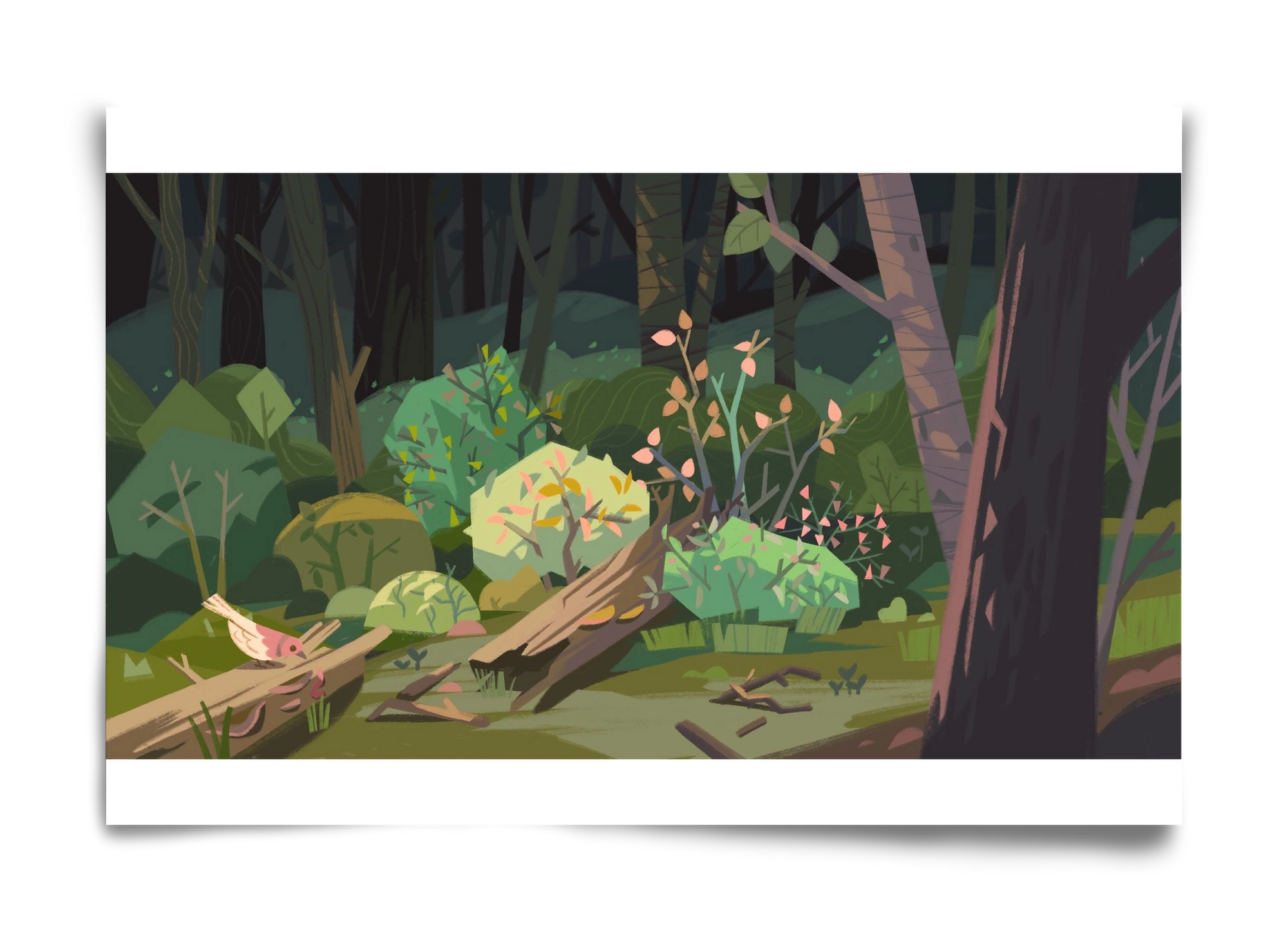 Forest, 60x40 cm, Keret nélkül