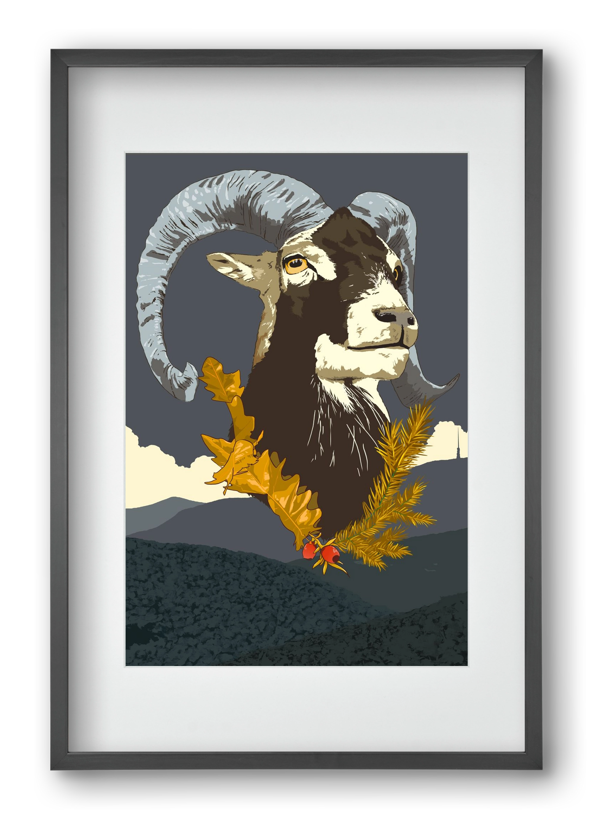 ovis, 40x60 cm (30x45 cm), Fekete keret, paszpartuval