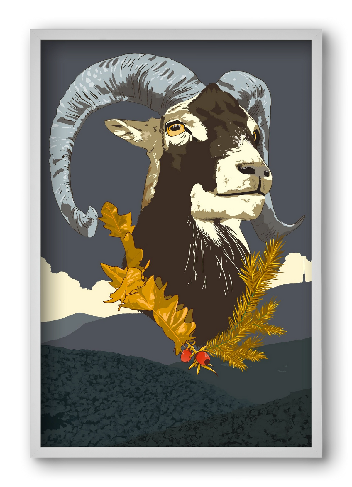 ovis, 40x60 cm (40x60 cm), Fehér keret