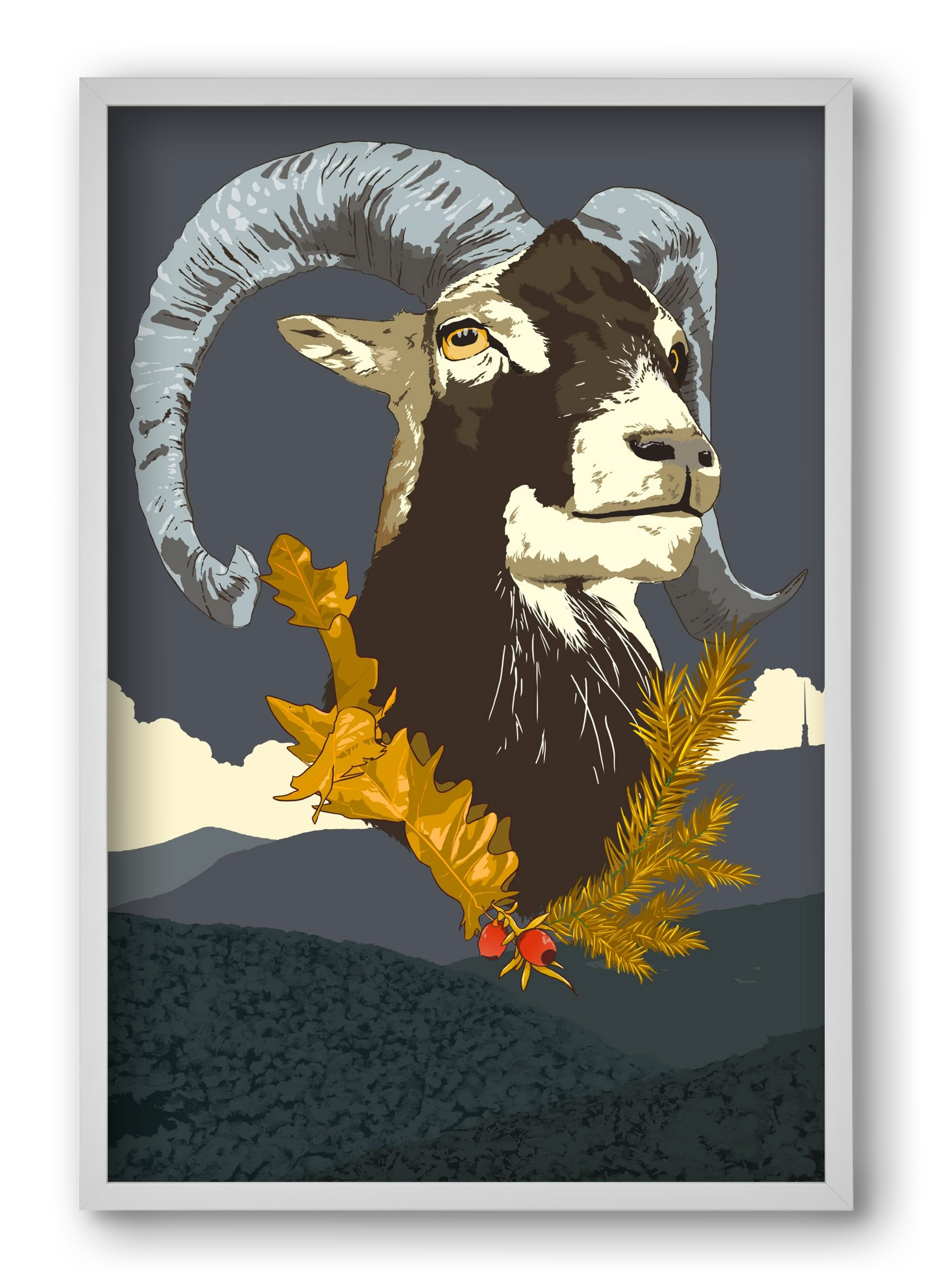 ovis, 40x60 cm (40x60 cm), Fehér keret