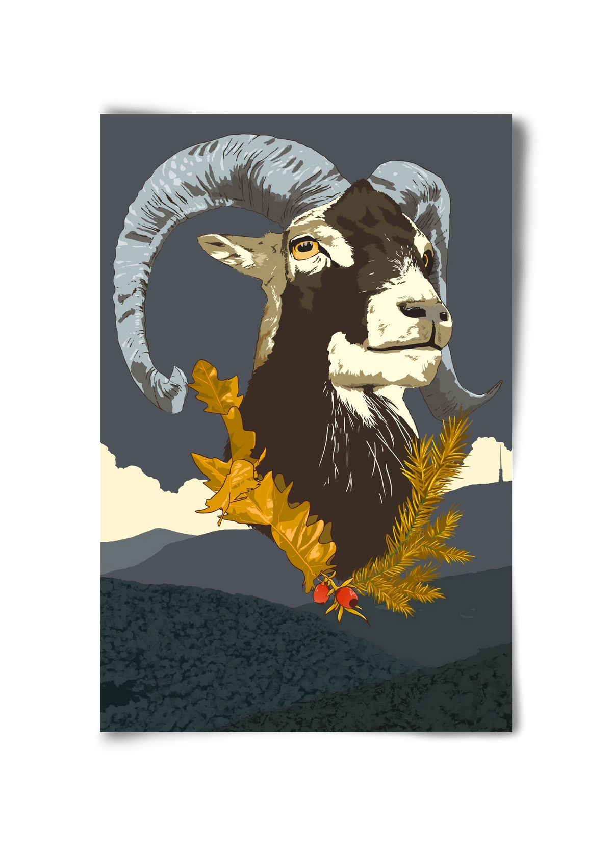 ovis, 30x45 cm, Keret nélkül