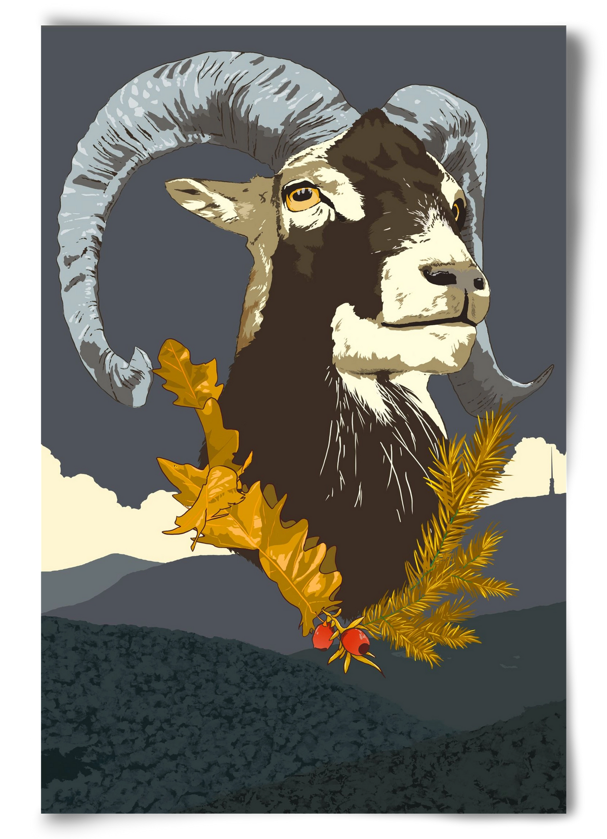 ovis, 60x90 cm, Keret nélkül