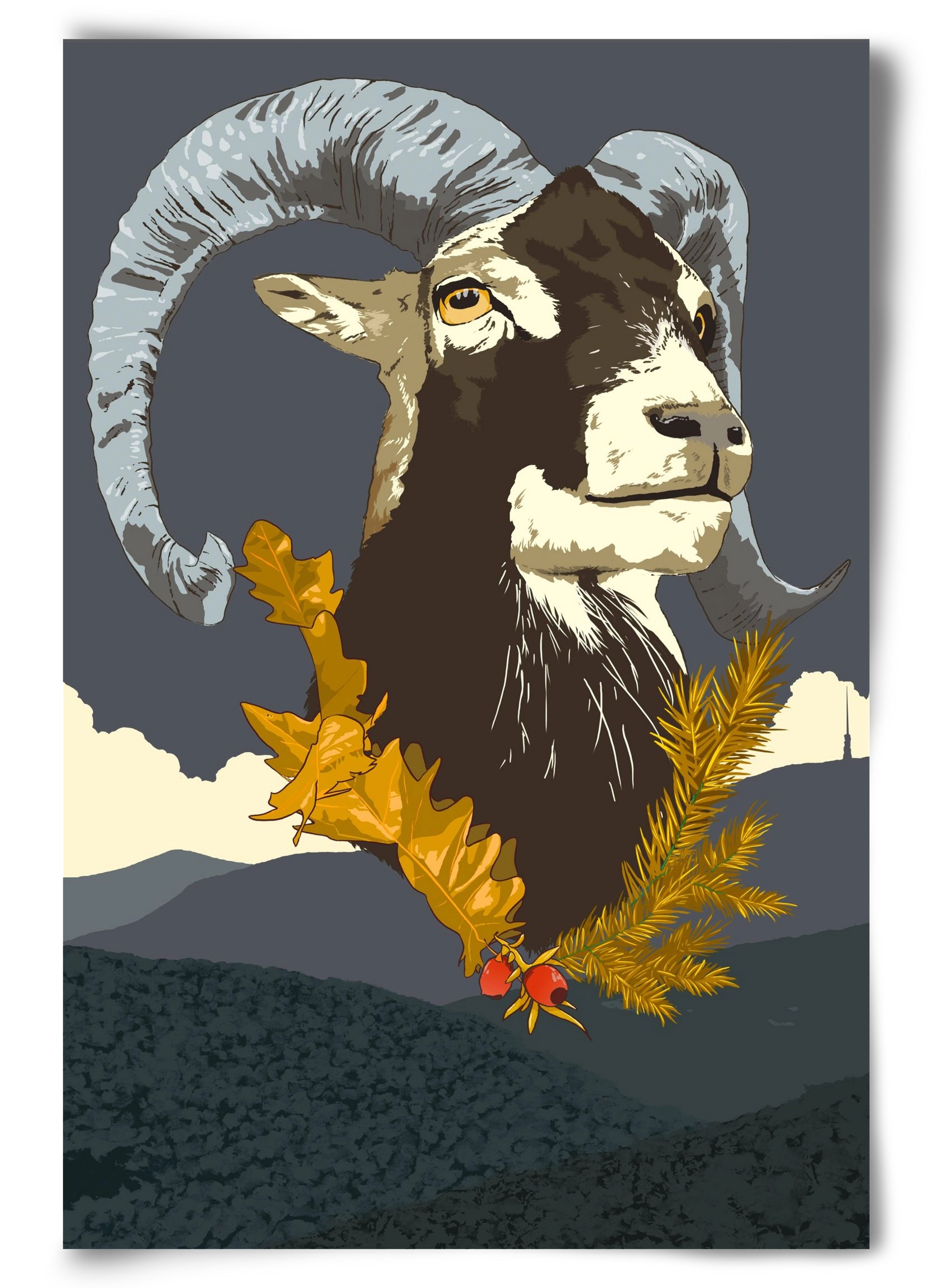 ovis, 60x90 cm, Keret nélkül