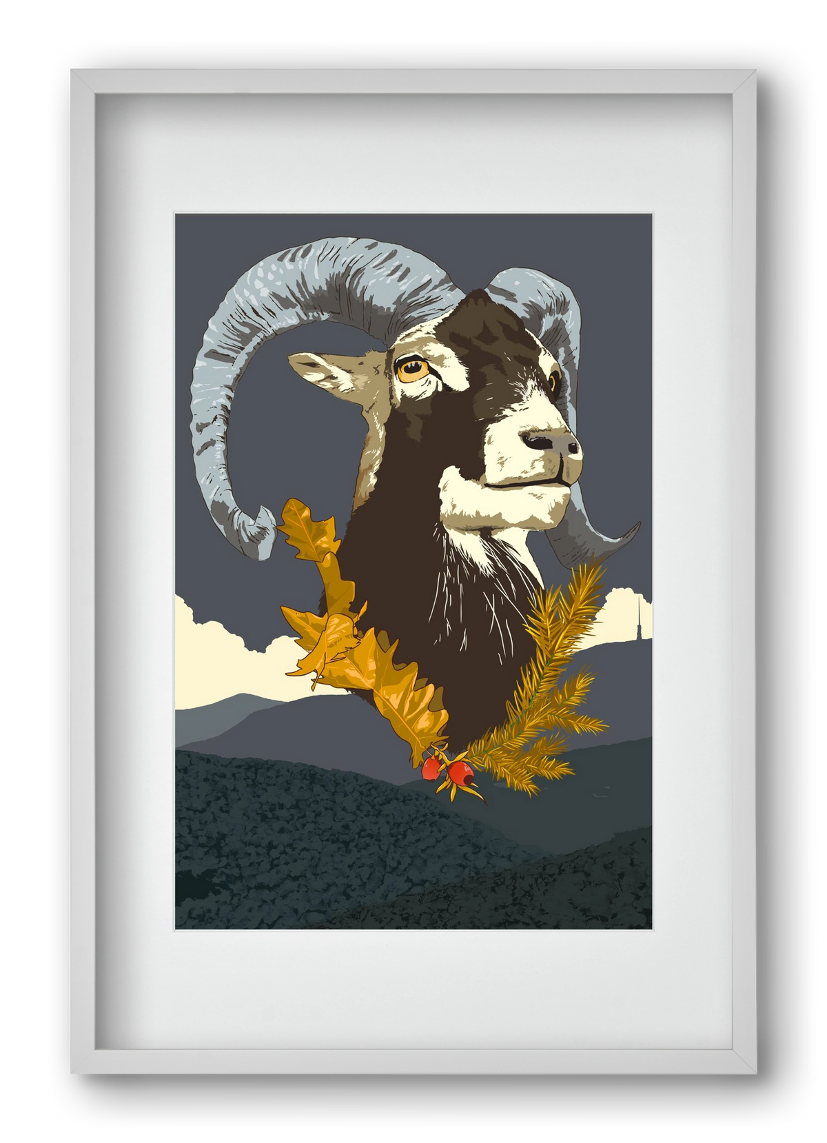 ovis, 40x60 cm (30x45 cm), Fehér keret, paszpartuval