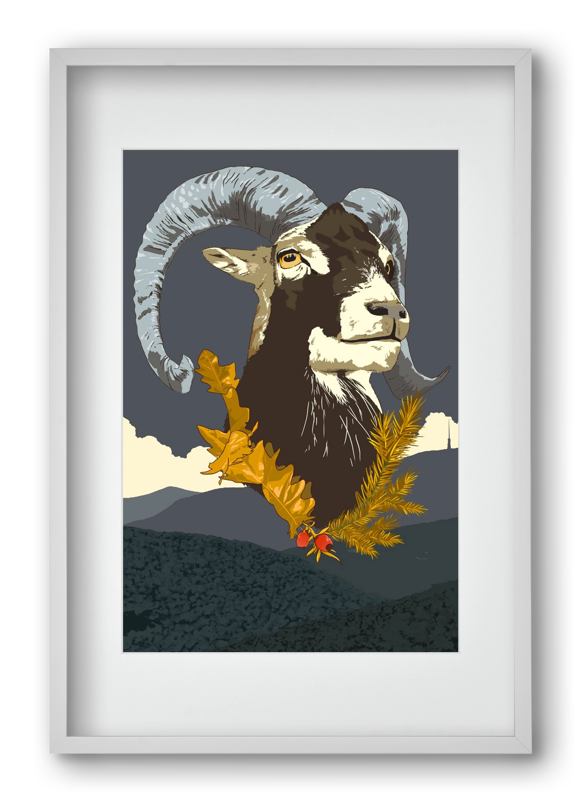 ovis, 40x60 cm (30x45 cm), Fehér keret, paszpartuval