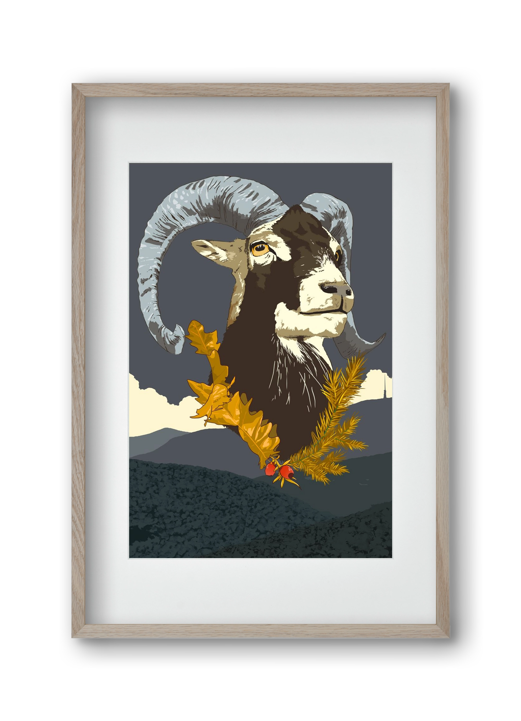 ovis, 30x45 cm (20x30 cm), Tölgy keret, paszpartuval