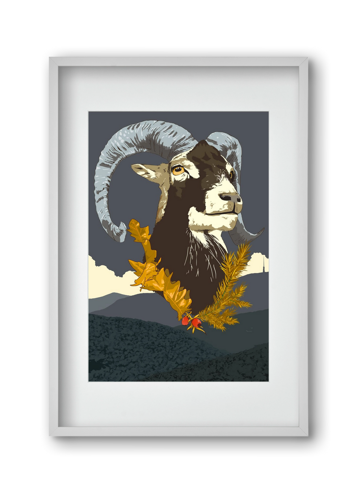 ovis, 30x45 cm (20x30 cm), Fehér keret, paszpartuval