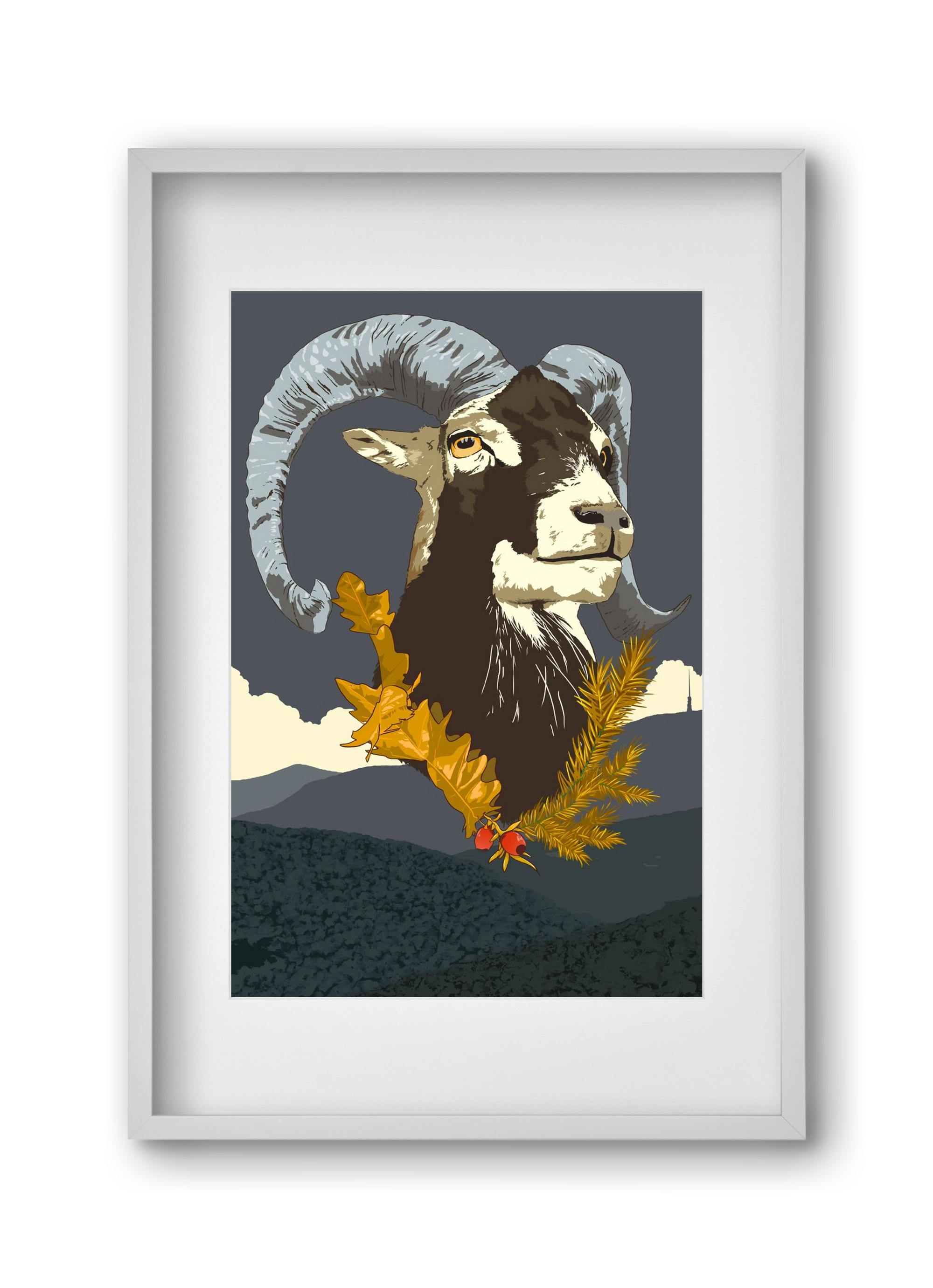 ovis, 30x45 cm (20x30 cm), Fehér keret, paszpartuval