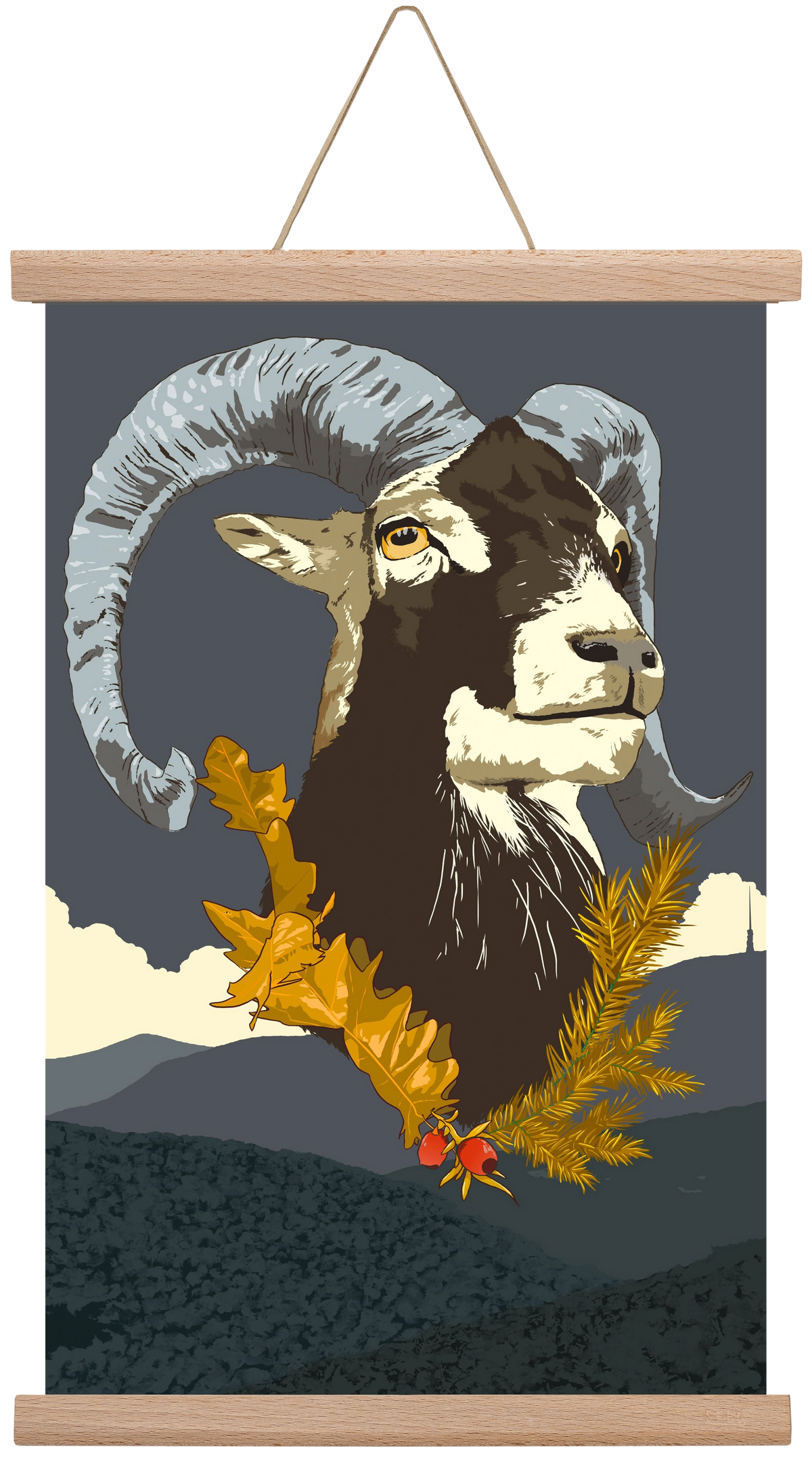 ovis, 30x45 cm (30x45 cm), Tölgy akasztó