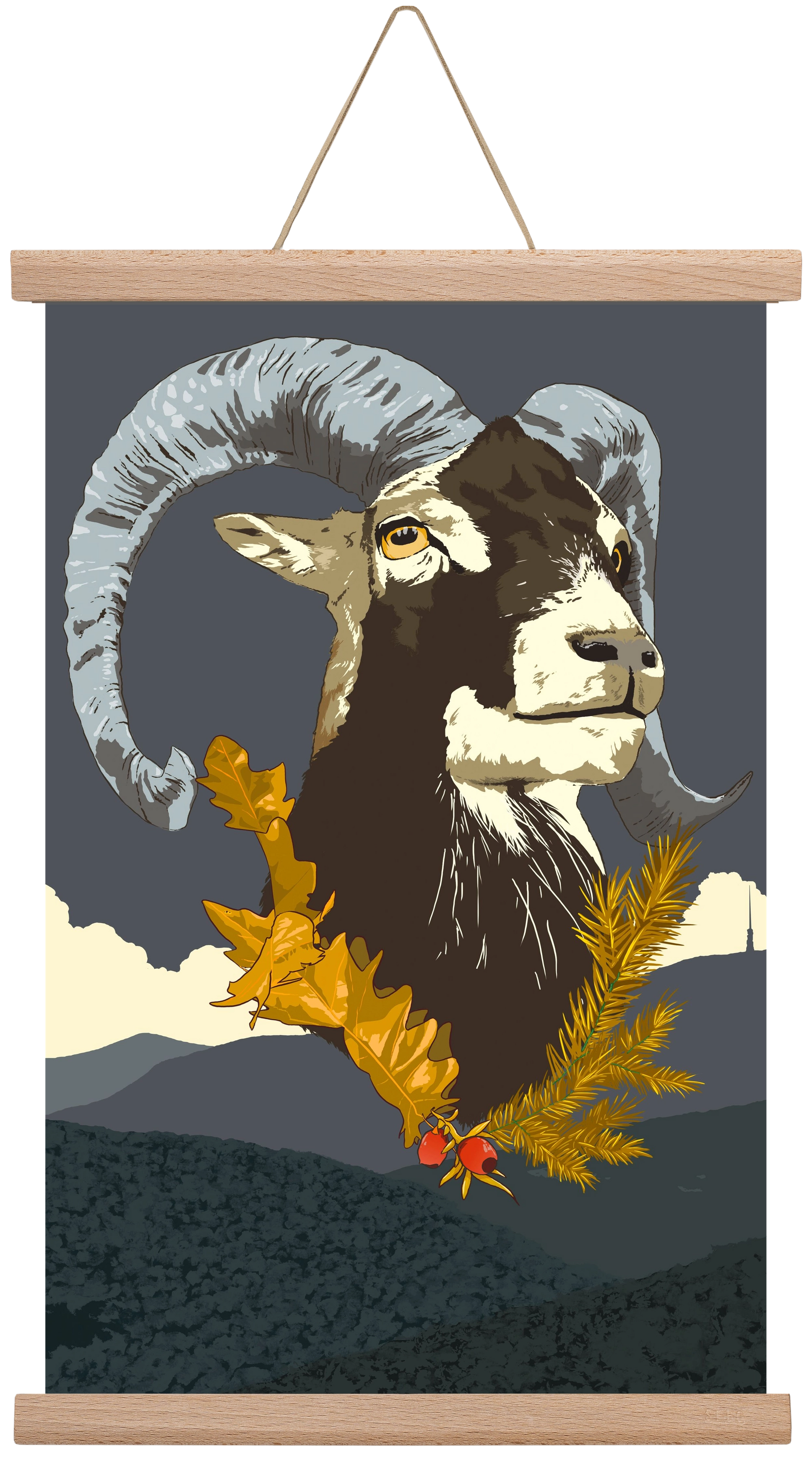 ovis, 30x45 cm (30x45 cm), Tölgy akasztó