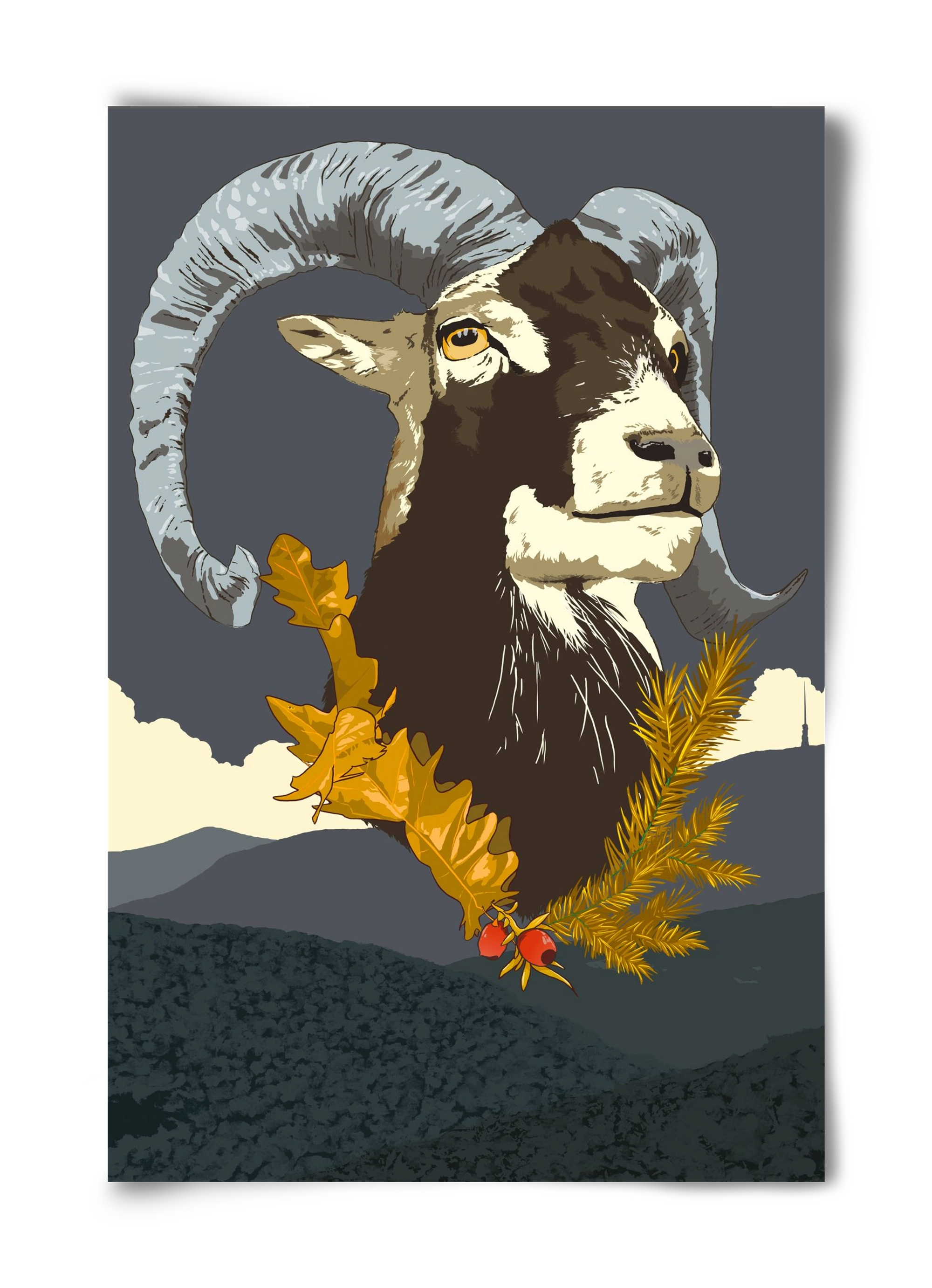 ovis, 40x60 cm, Keret nélkül