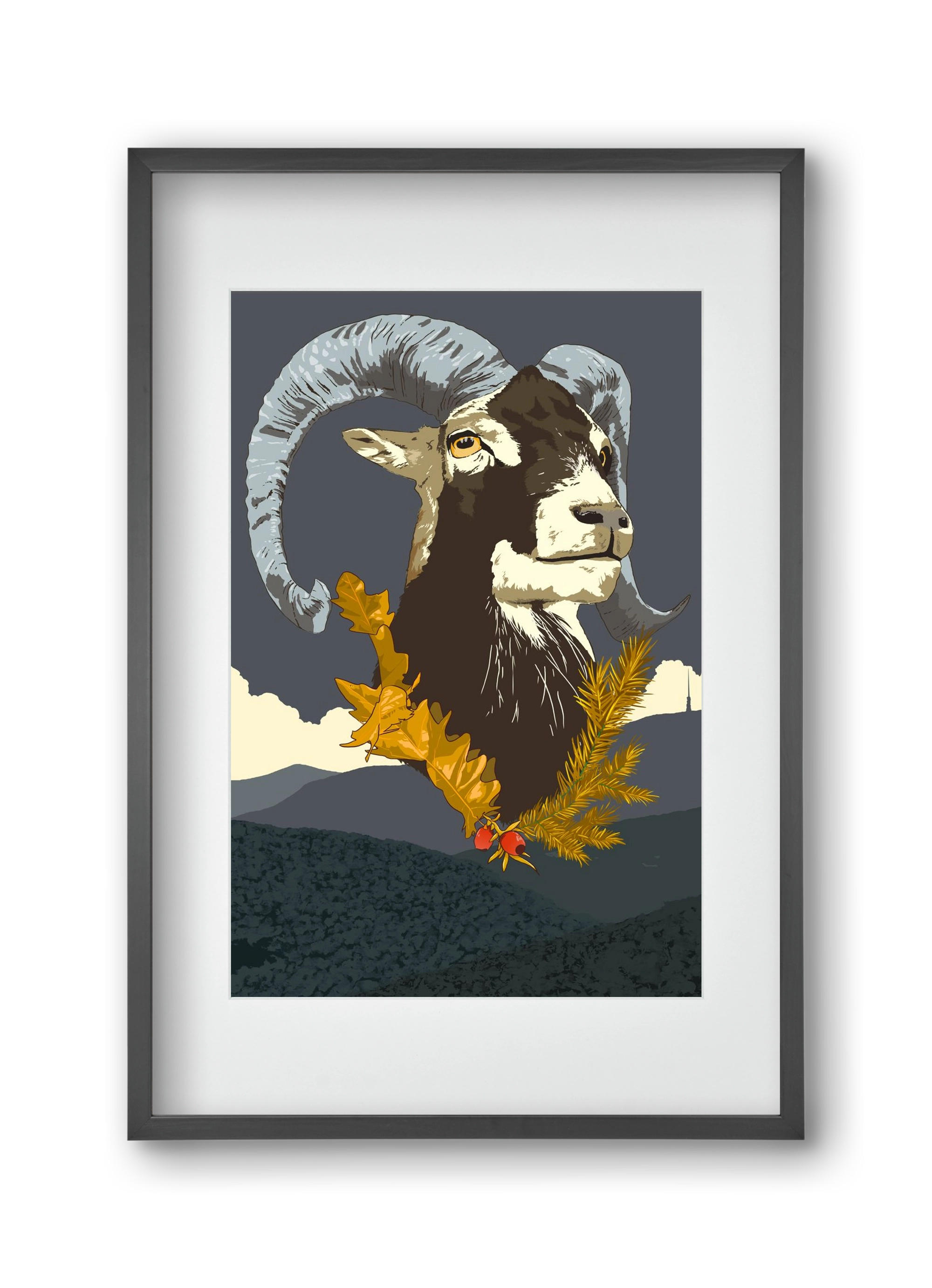 ovis, 30x45 cm (20x30 cm), Fekete keret, paszpartuval