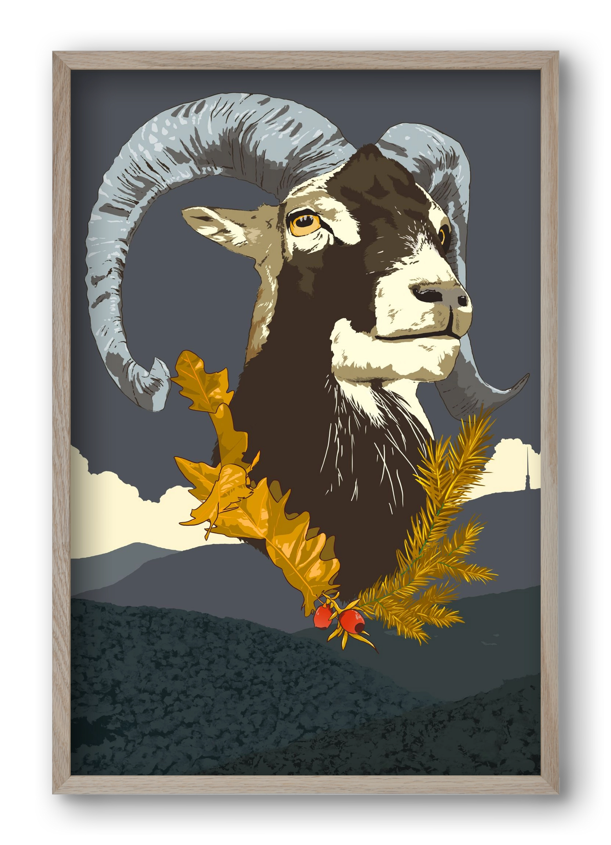 ovis, 40x60 cm (40x60 cm), Tölgy keret