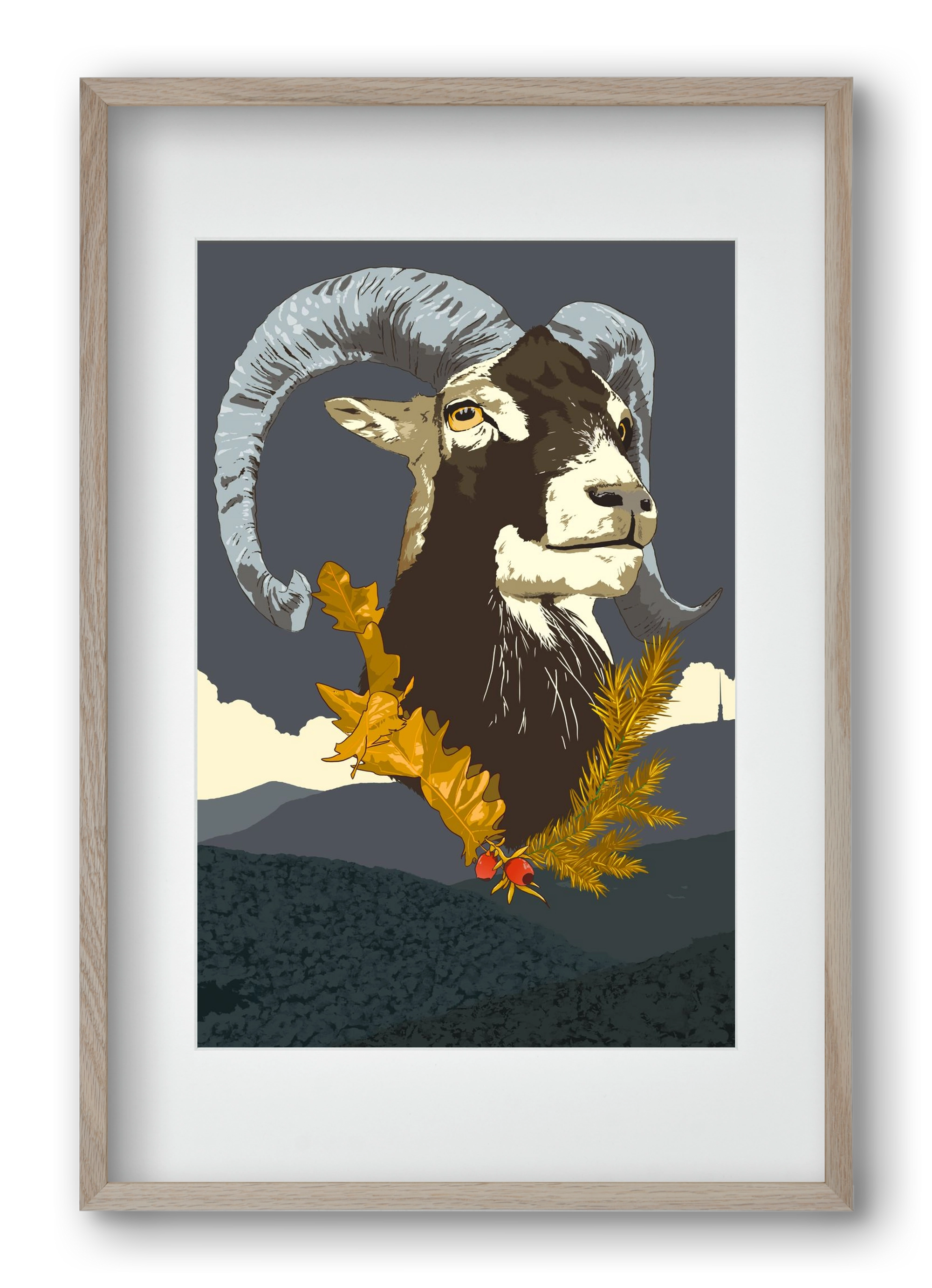 ovis, 40x60 cm (30x45 cm), Tölgy keret, paszpartuval