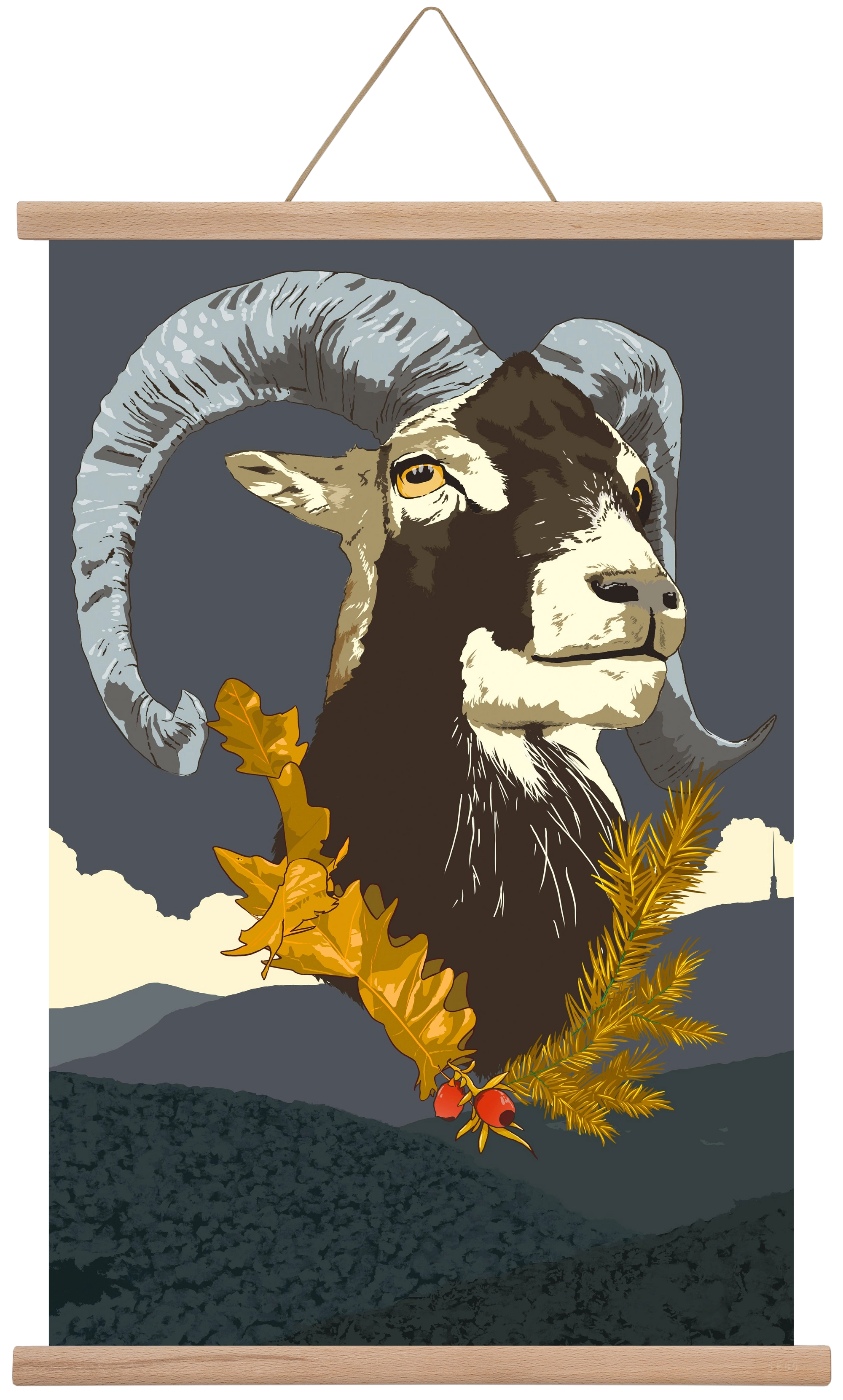 ovis, 40x60 cm (40x60 cm), Tölgy akasztó