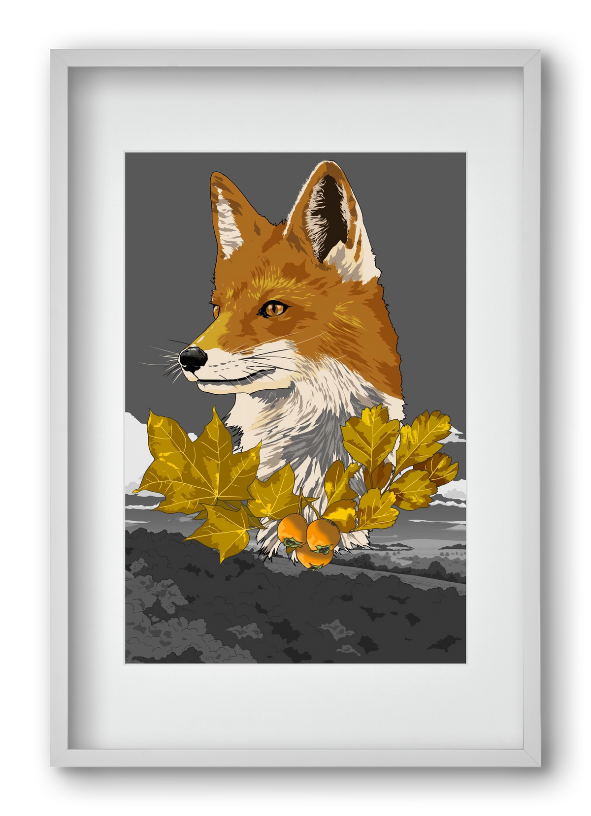 vulpes, 40x60 cm (30x45 cm), Fehér keret, paszpartuval