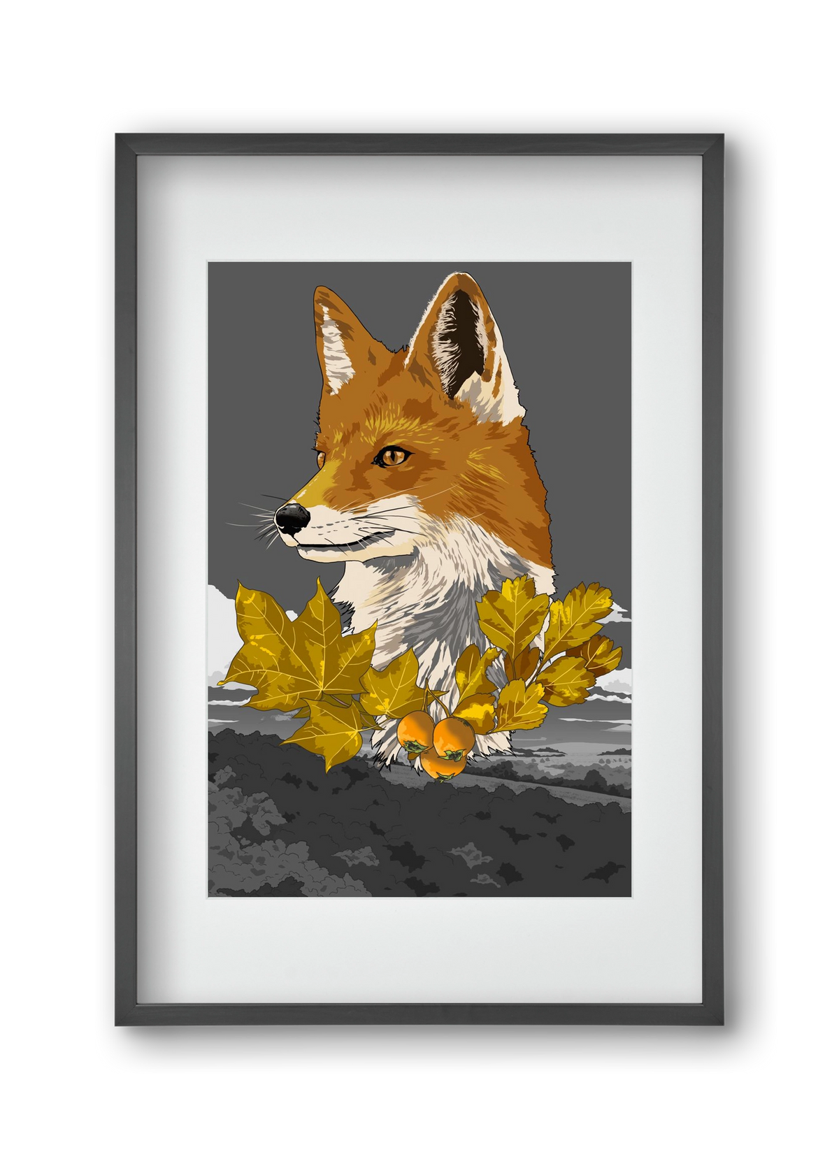 vulpes, 30x45 cm (20x30 cm), Fekete keret, paszpartuval