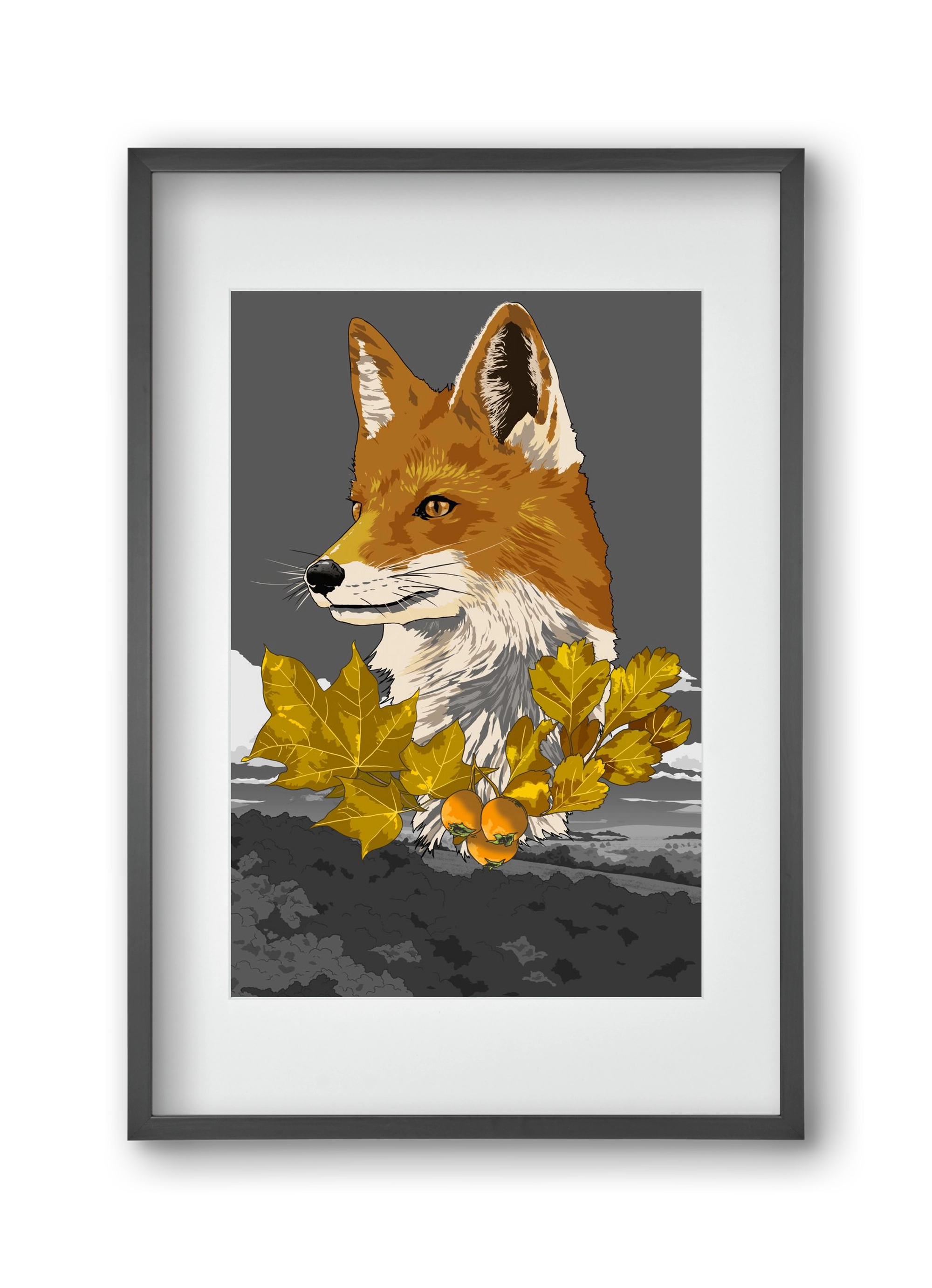 vulpes, 30x45 cm (20x30 cm), Fekete keret, paszpartuval