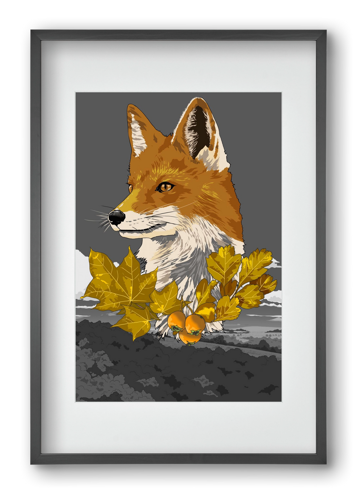 vulpes, 40x60 cm (30x45 cm), Fekete keret, paszpartuval