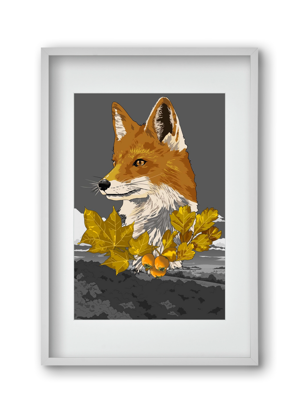 vulpes, 30x45 cm (20x30 cm), Fehér keret, paszpartuval