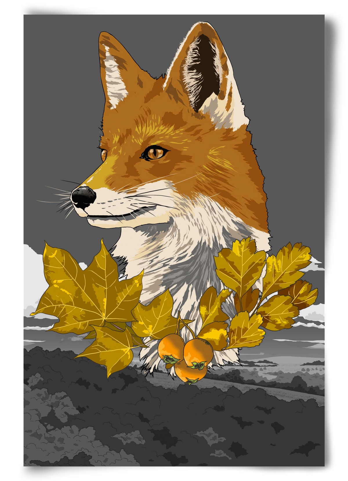 vulpes, 60x90 cm, Keret nélkül