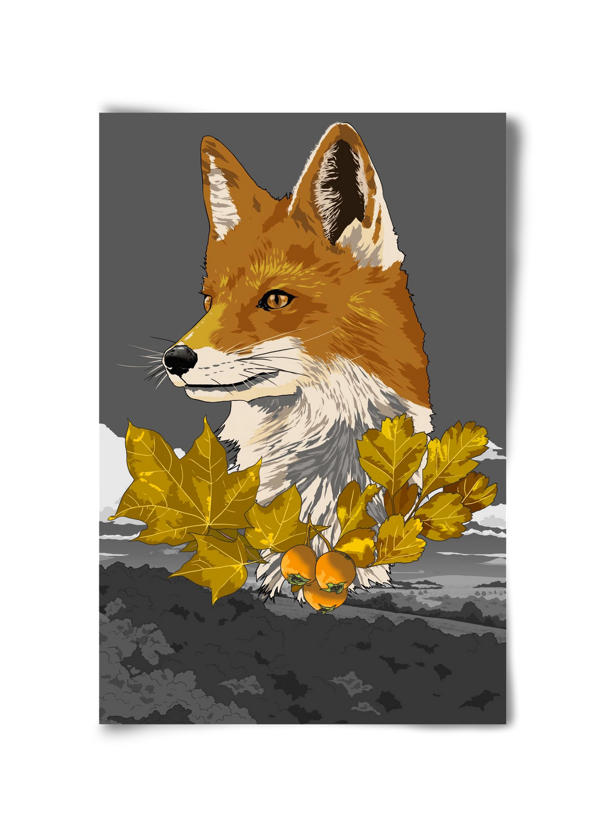 vulpes, 30x45 cm, Keret nélkül