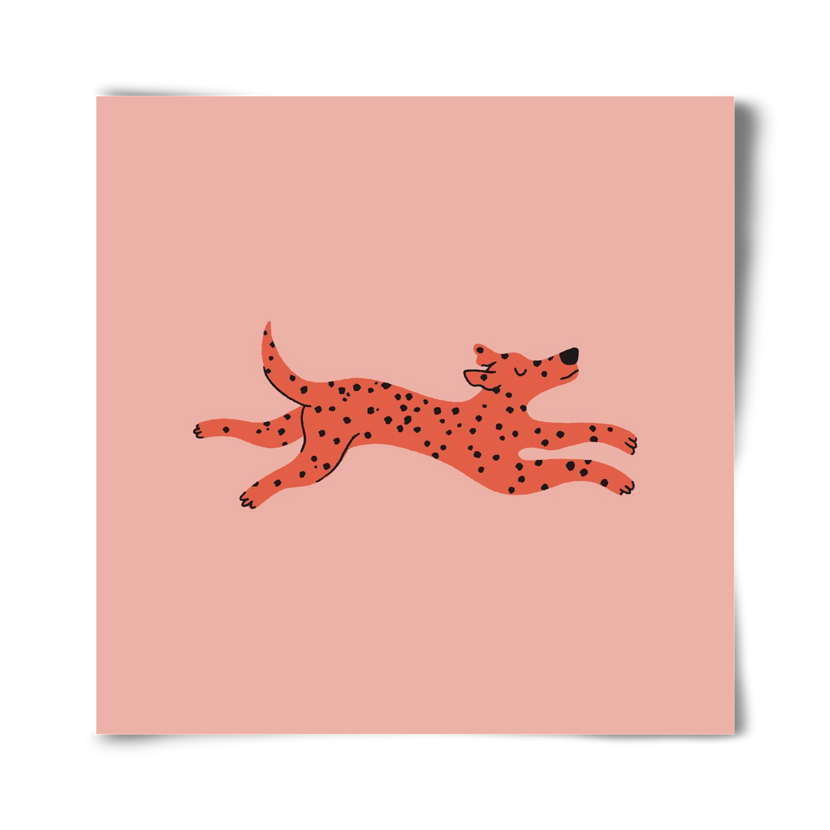 Spots, 40x40 cm, Keret nélkül