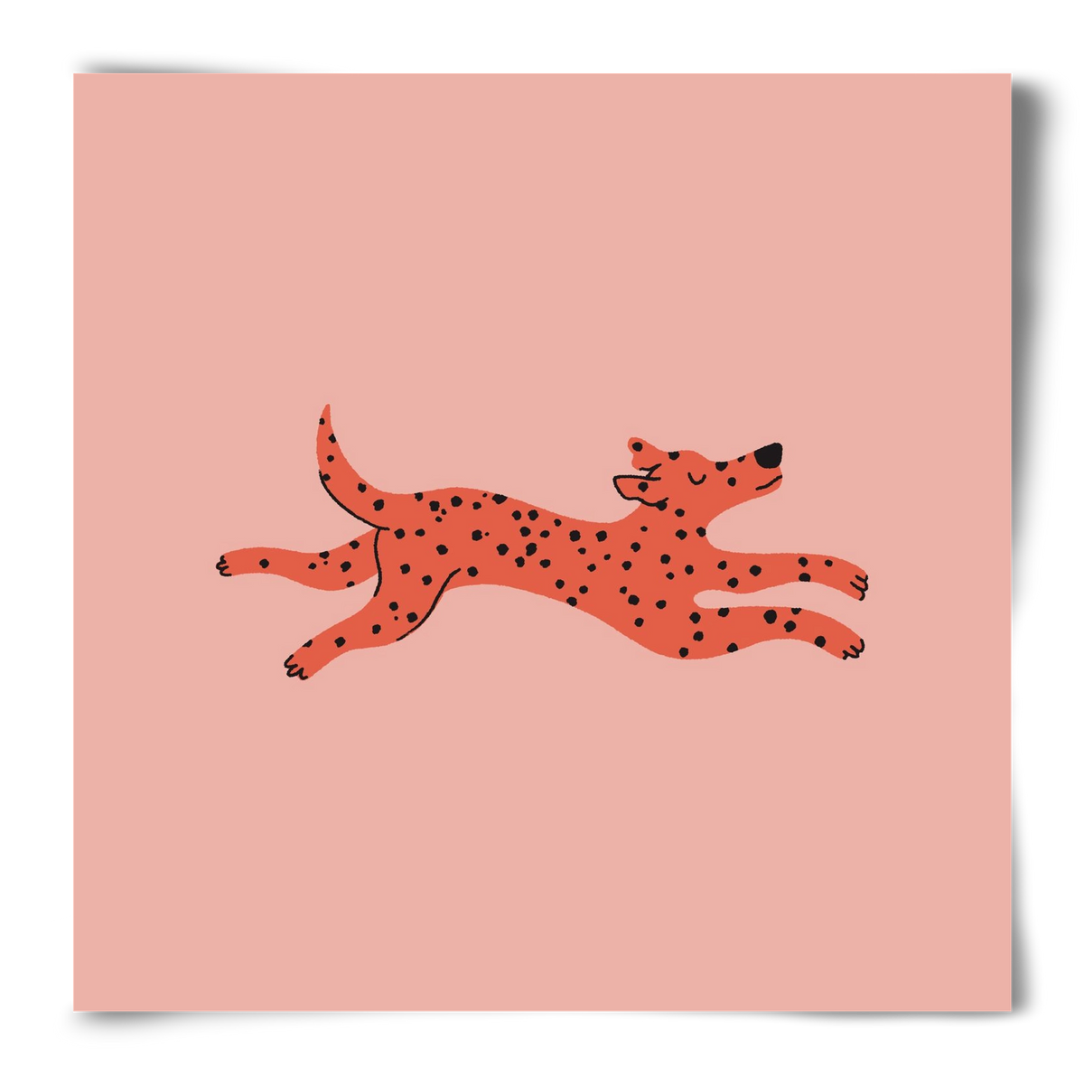 Spots, 50x50 cm, Keret nélkül