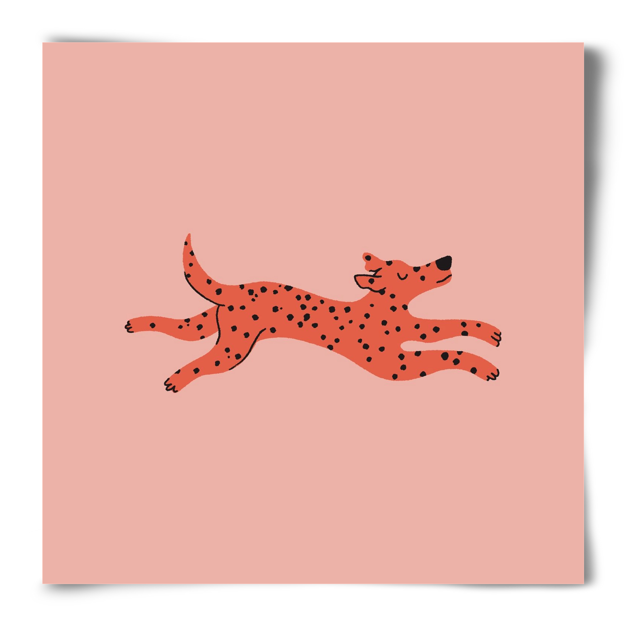 Spots, 50x50 cm, Keret nélkül